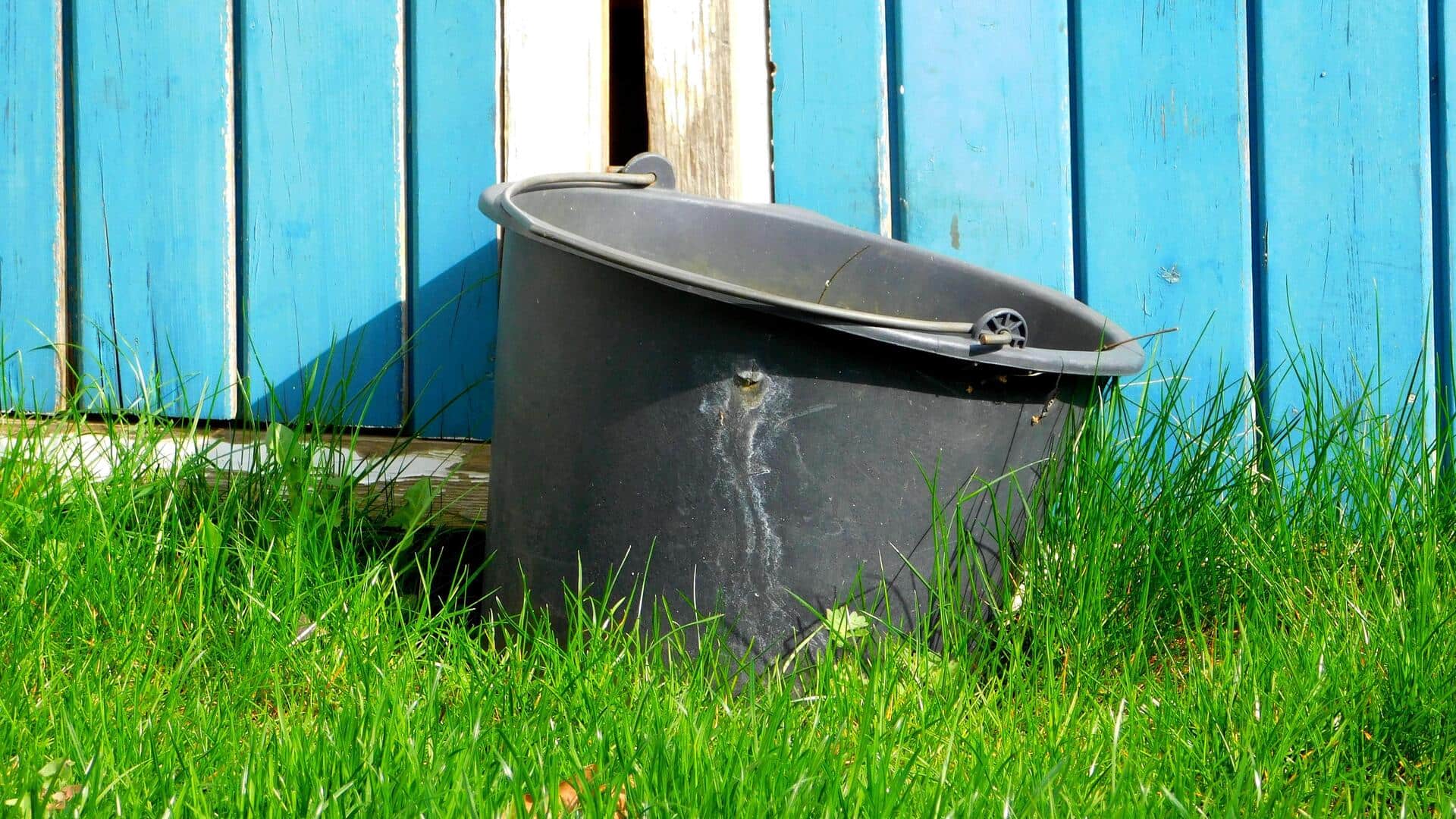 Cara cerdas menyimpan air hujan di ember