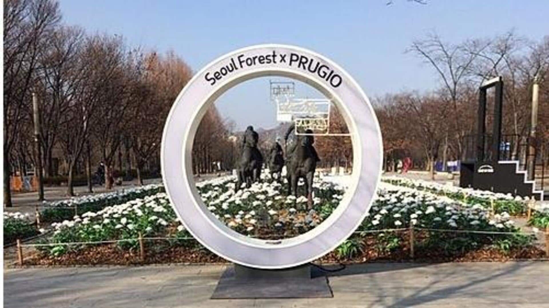 Relaksasi di Kafe-Kafe Hutan Seoul, Korea Selatan