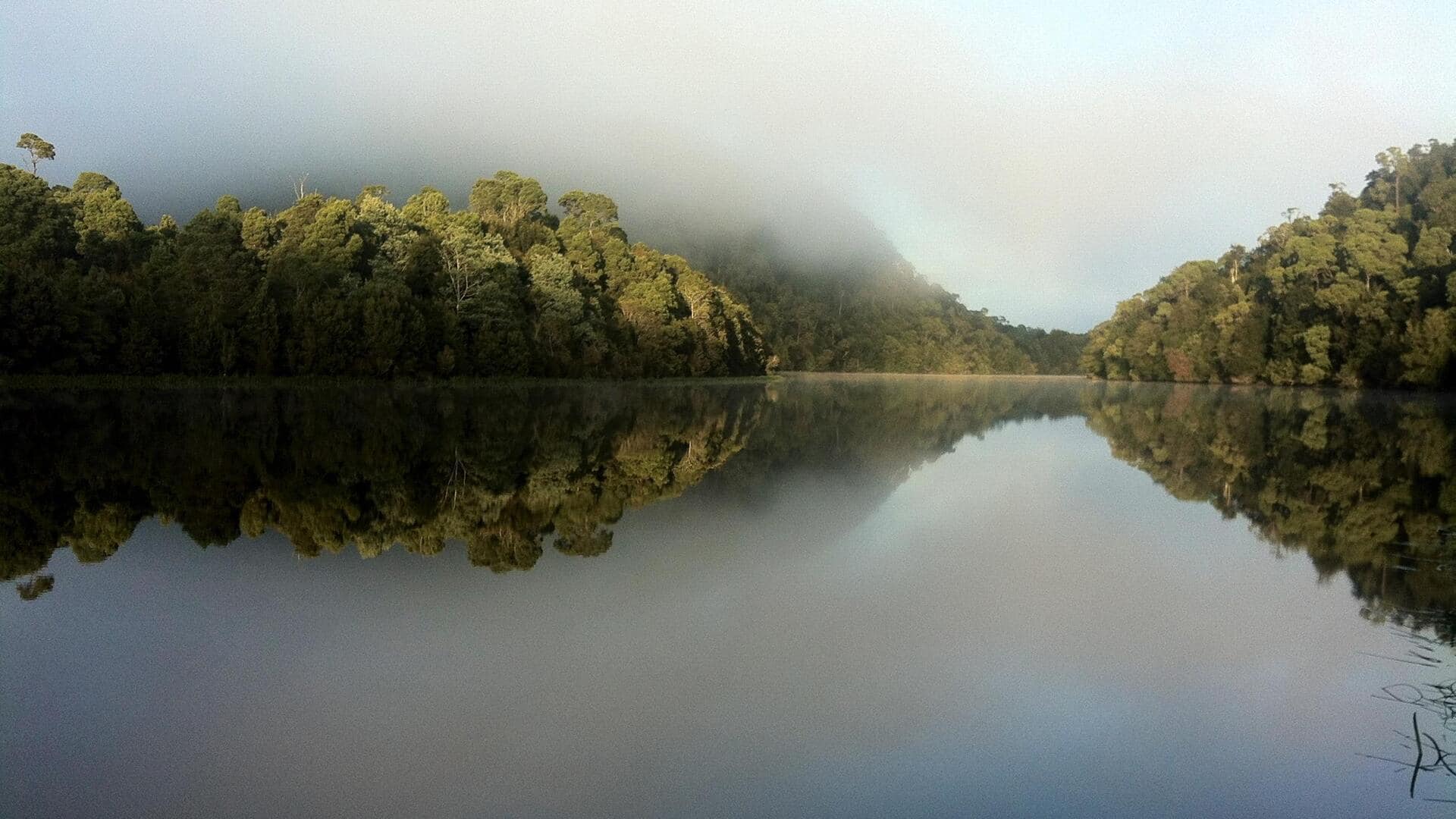 Menjelajahi keindahan Hutan Hujan Tarkine di Tasmania