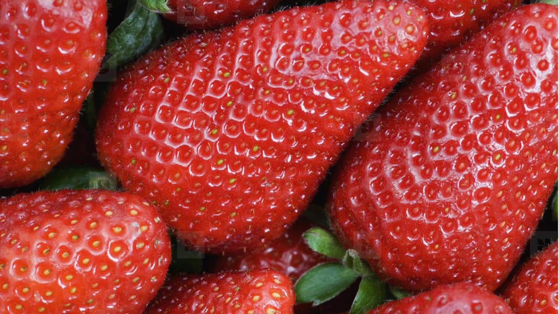 Lima Tips dan Teknik yang Efektif untuk Menguasai Fotografi Tekstur