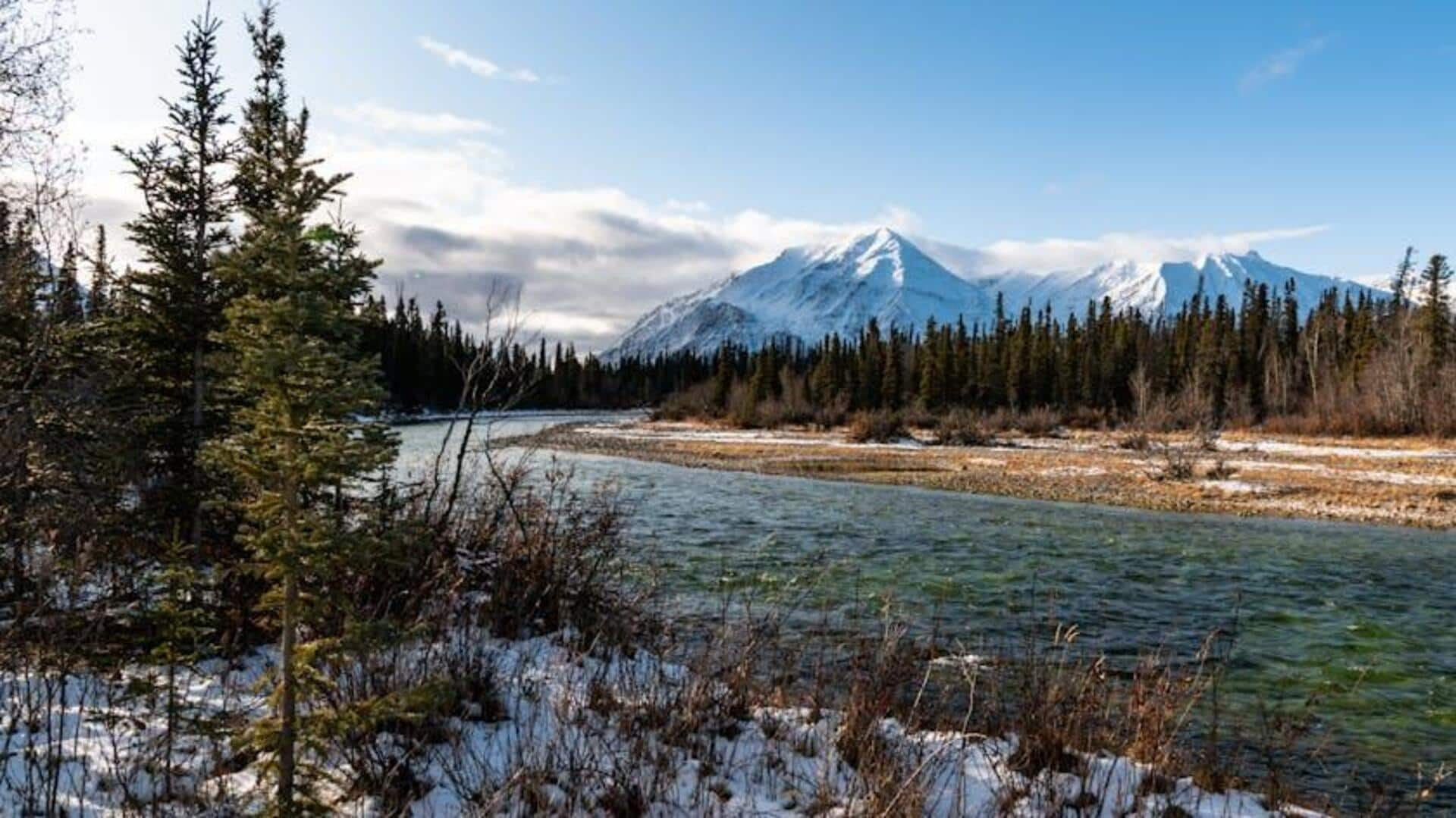 Menjelajahi Alam Liar Yukon, Kanada