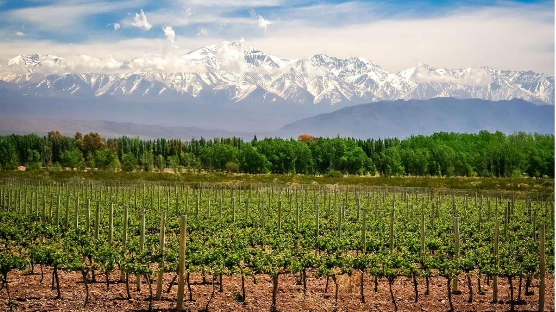 Lakukan perjalanan melintasi Mendoza, kebun anggur populer di Argentina