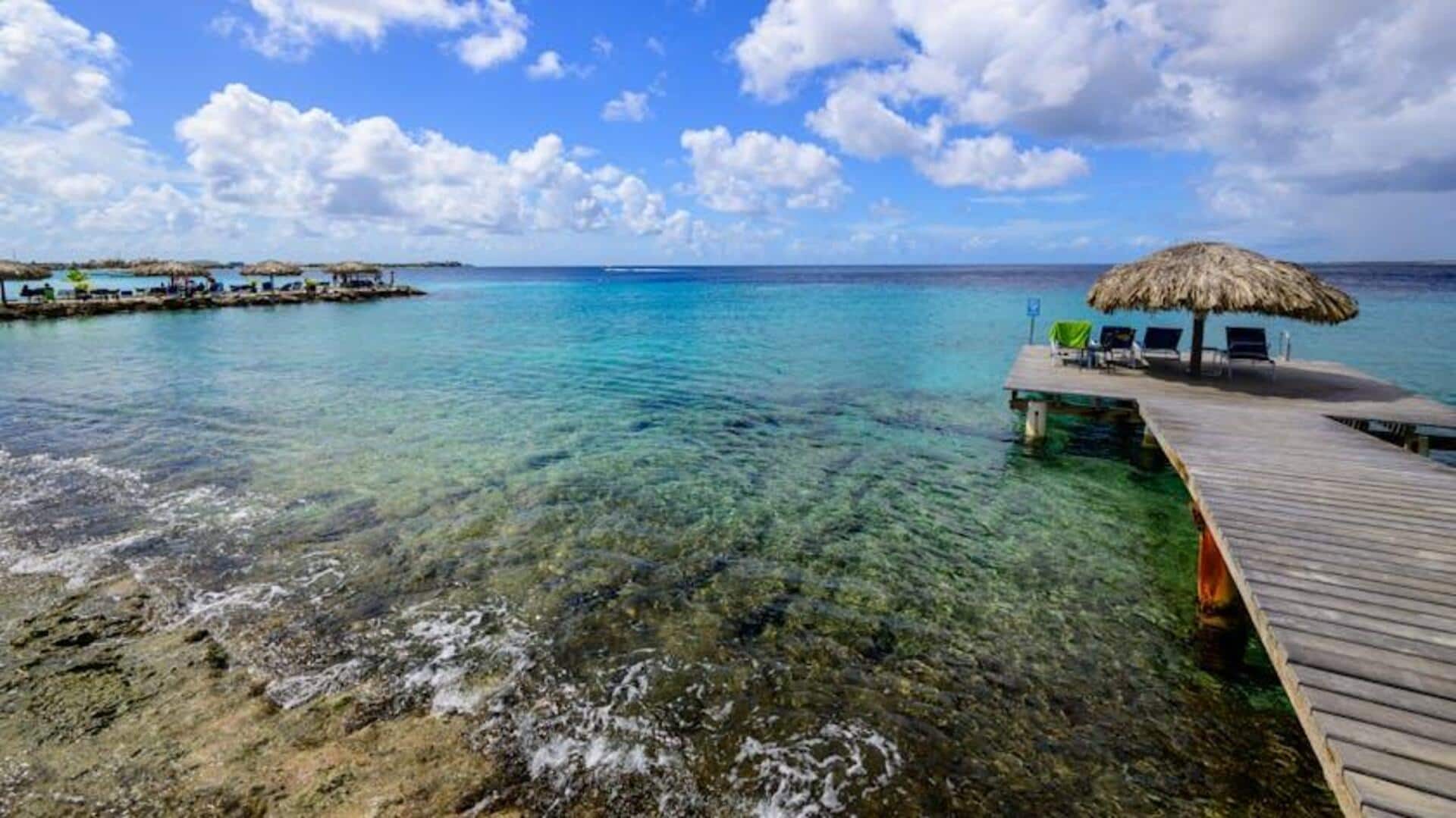 Pantai Tersembunyi di Bonaire yang Wajib Dikunjungi