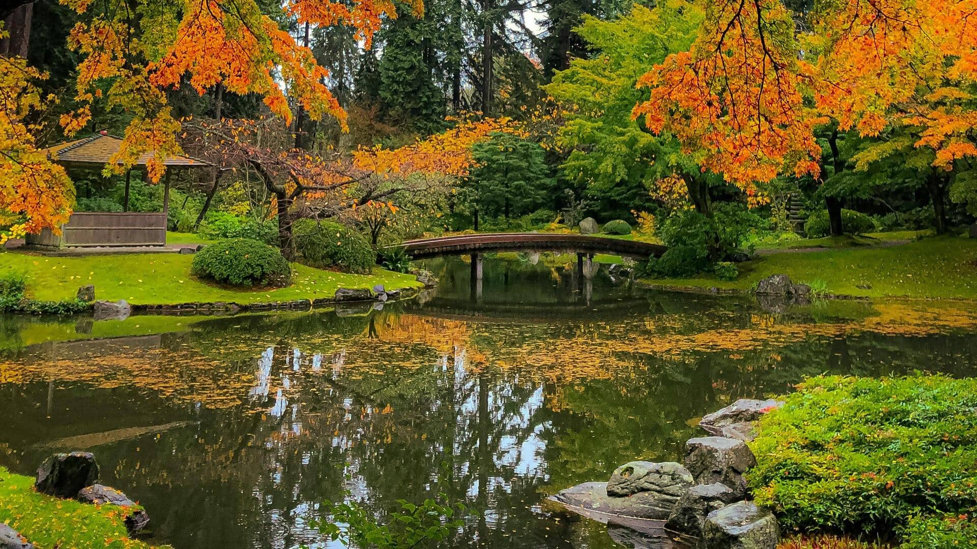 Taman Tersembunyi di Vancouver: Surga Pencinta Alam