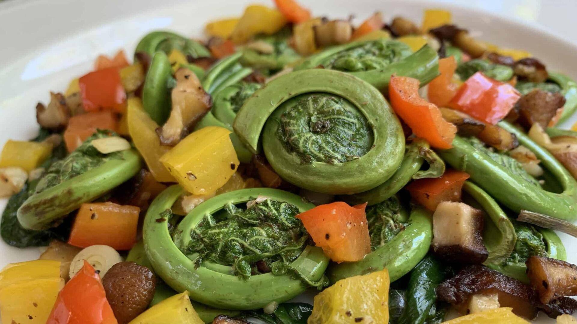 Menjelajahi Resep Lezat dengan Bahan Dasar Pakis Muda