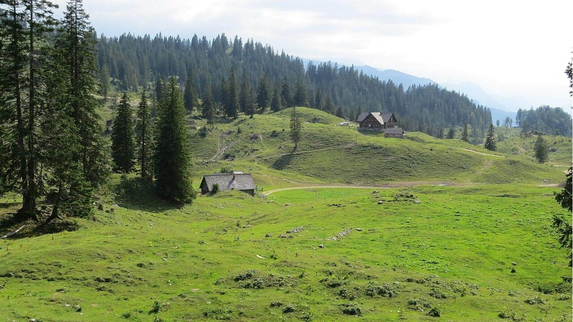 Menyusuri Padang Rumput Alpen nan Asri di Austria