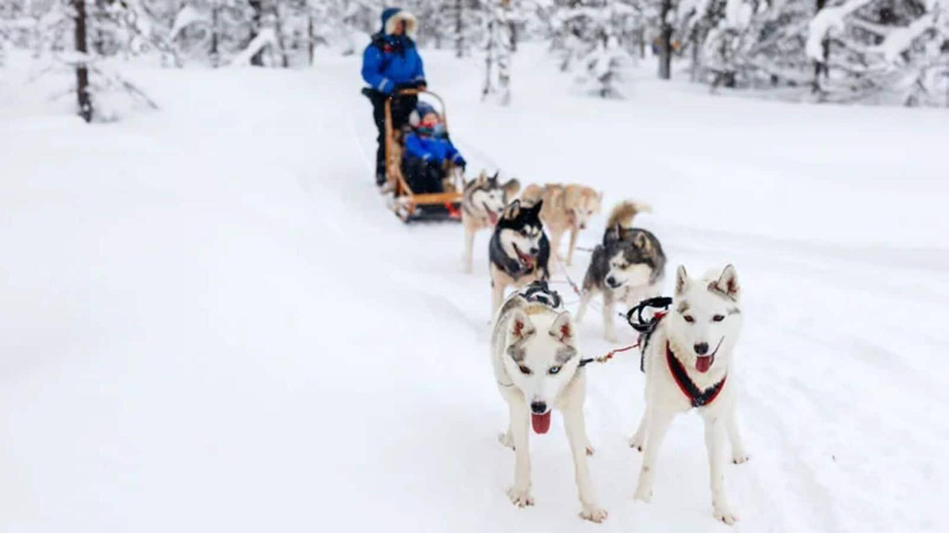 Nikmati ketenangan hutan belantara Lingkaran Arktik, Finlandia