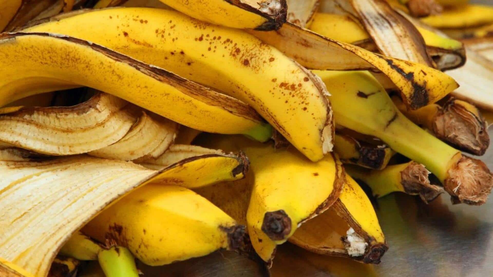 Manfaat Kulit Pisang dalam Hidangan Gurih Manfaat Kulit Pisang dalam Hidangan Gurih