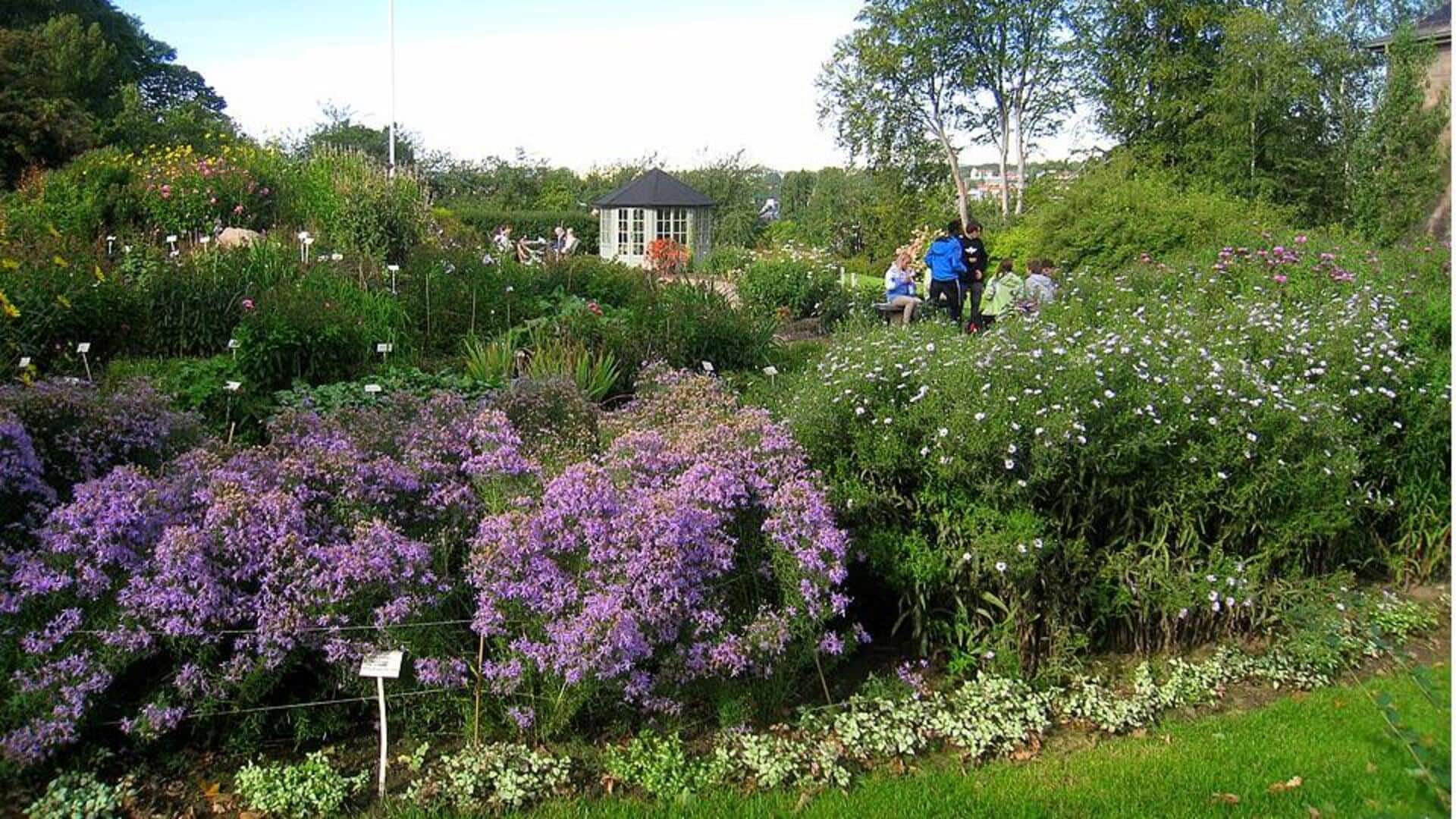 Lima Museum Ekologi Menarik di Norwegia