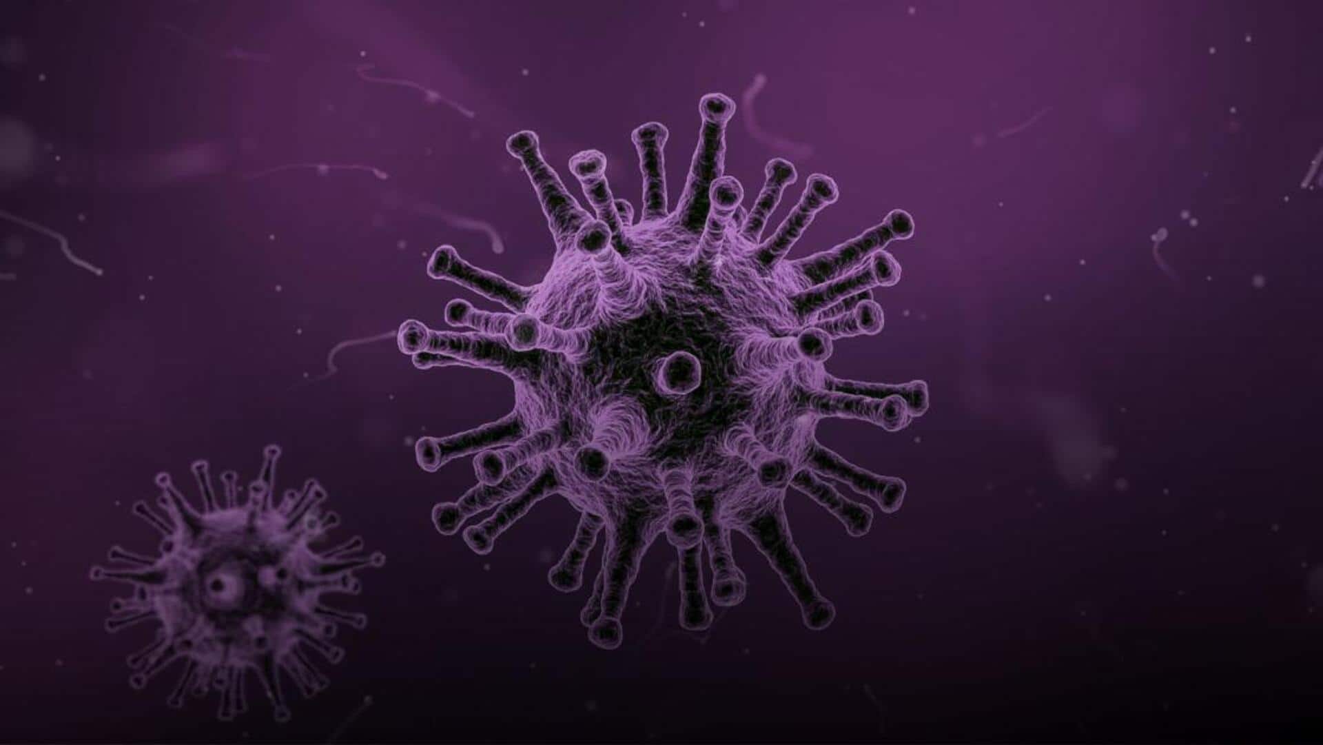 Memahami Peran Penting Virus secara Lebih Luas
