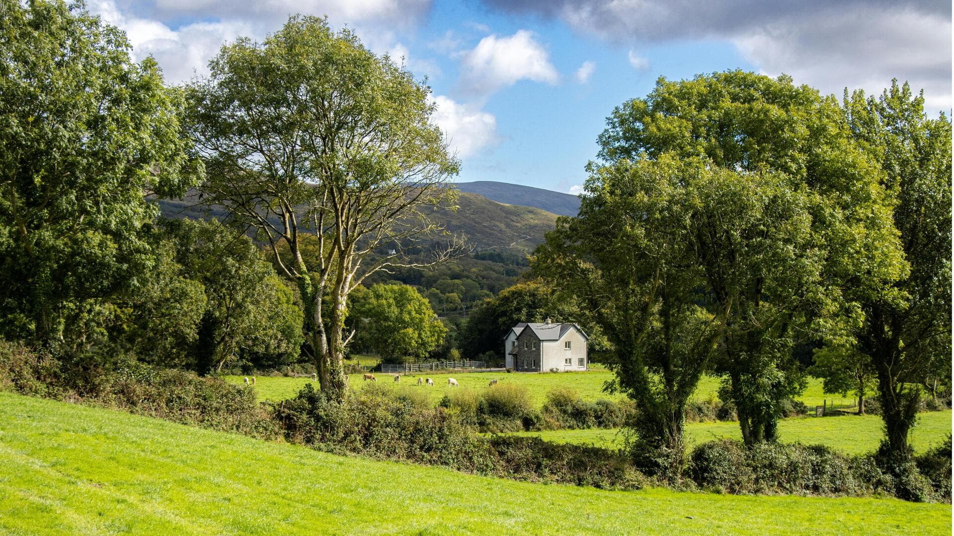 Temukan Lima Desa Menawan di Irlandia untuk Pencinta Alam