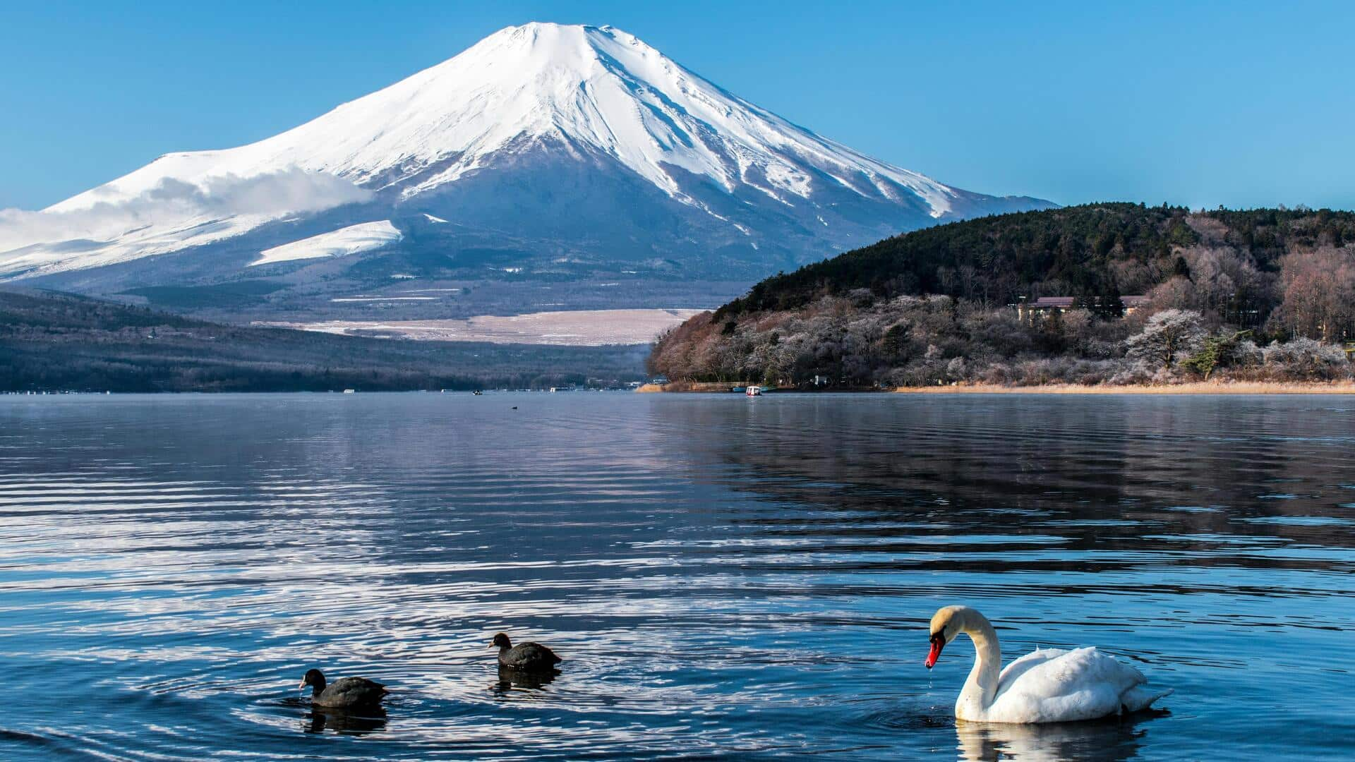 5 Resor Mewah di Pedesaan Dekat Tokyo