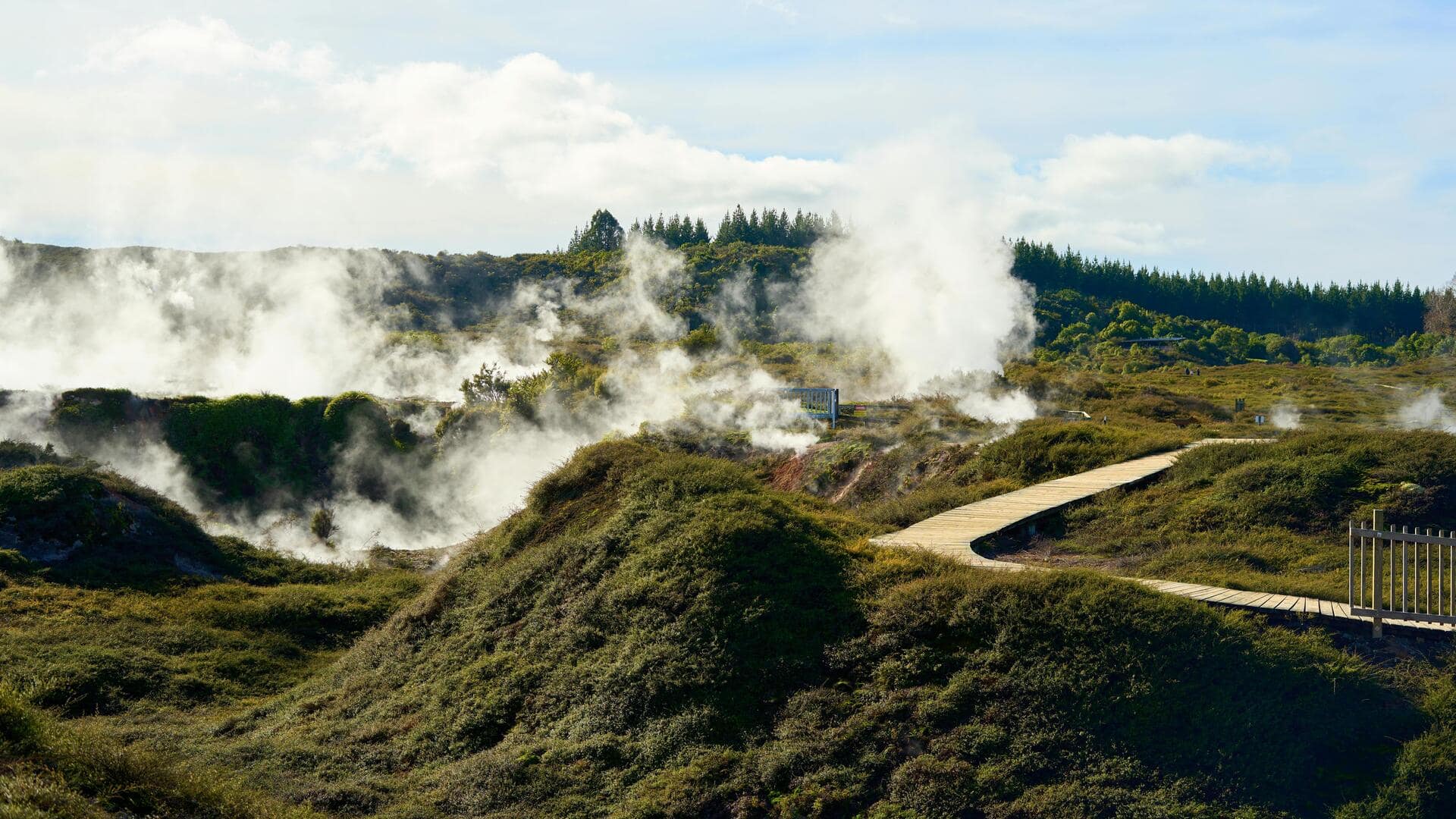 Permata Geotermal Selandia Baru: Lebih dari Sekadar Rotorua