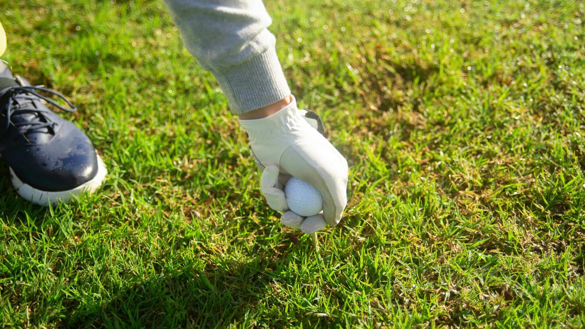 Pentingnya Divot dalam perawatan lapangan golf