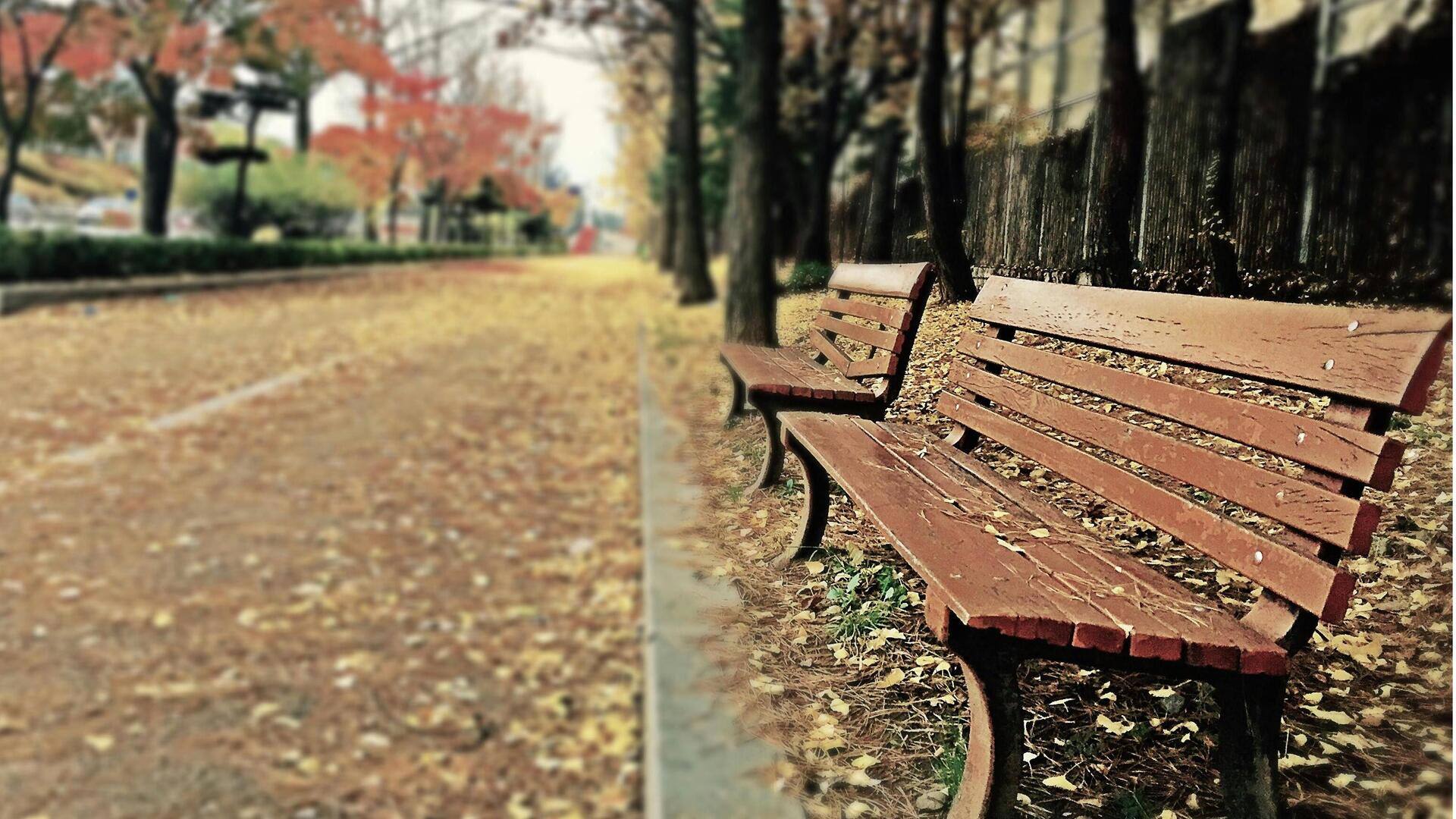 Lima Kebenaran Ilmiah tentang Ketahanan Bangku Umum di Luar Ruangan