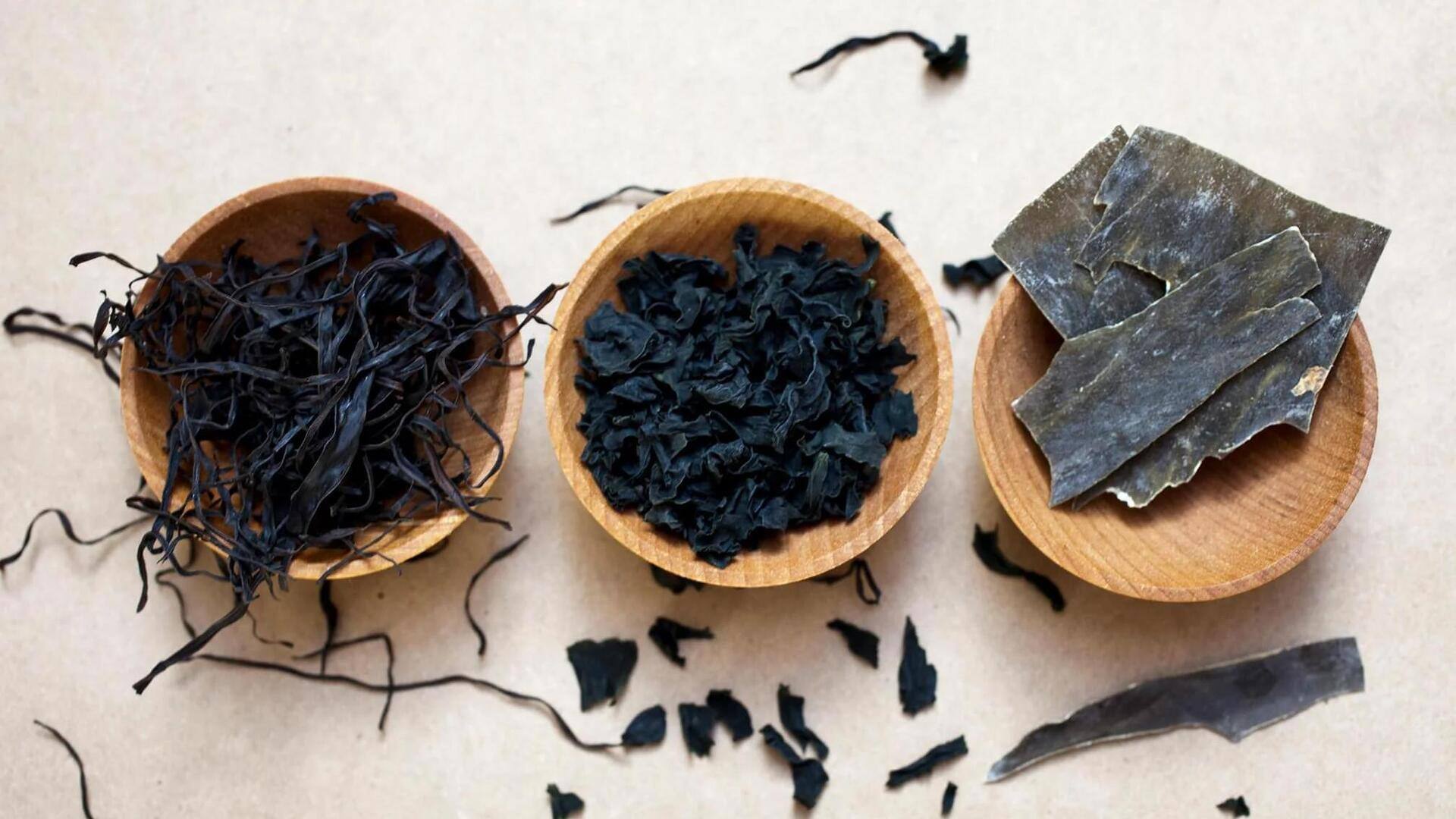 Penggunaan Tak Terduga dari Kombu dalam Hidangan Indonesia 