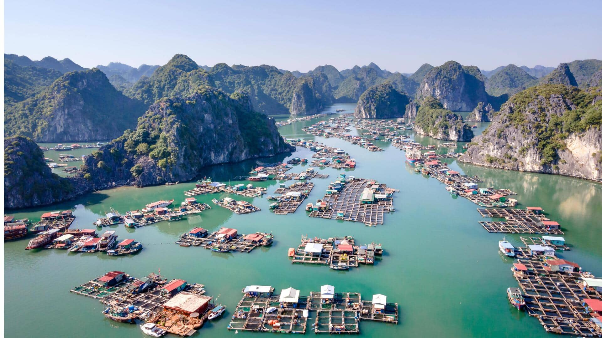 Menjelajahi Keindahan Delta Sungai Merah, Vietnam