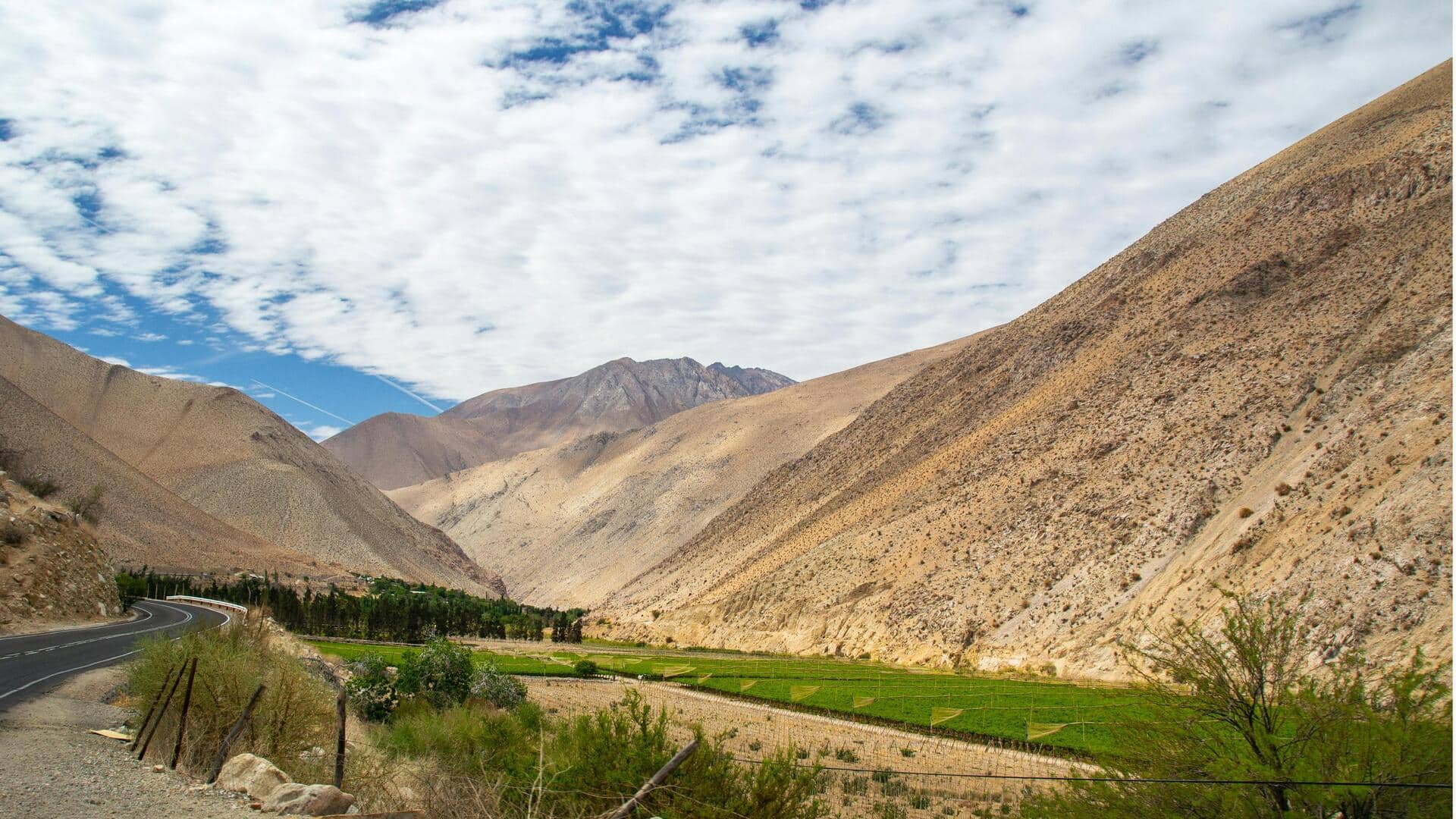 Kebun Anggur Terbaik di Chili untuk Pencinta Anggur