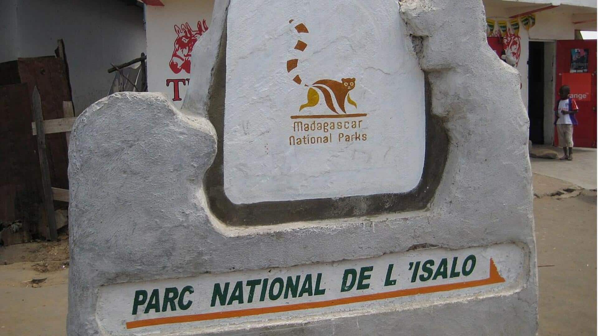 Mengenal Keanekaragaman Satwa Liar di Taman Nasional Madagaskar