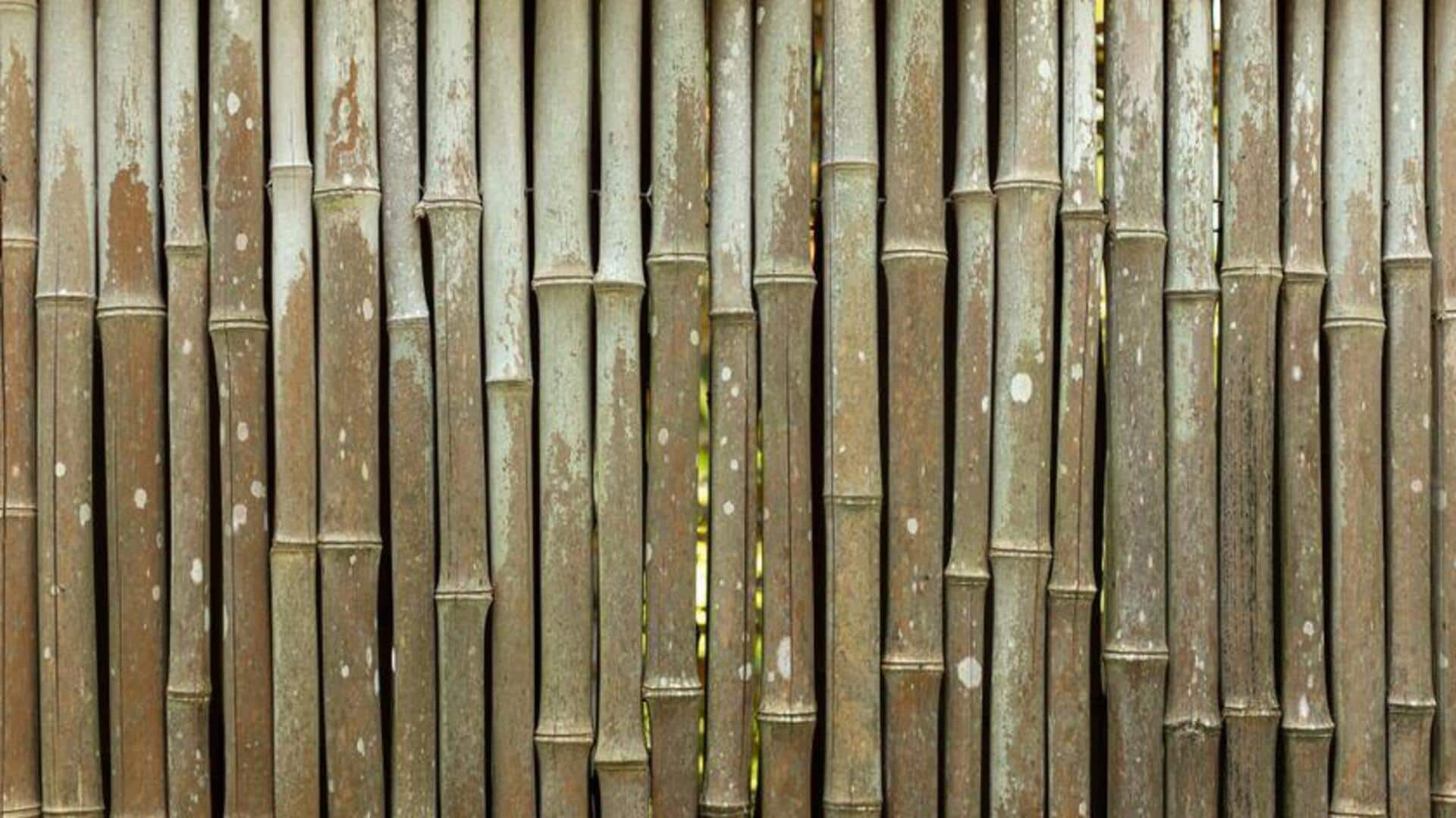Bambu: Material Ramah Lingkungan untuk Konstruksi