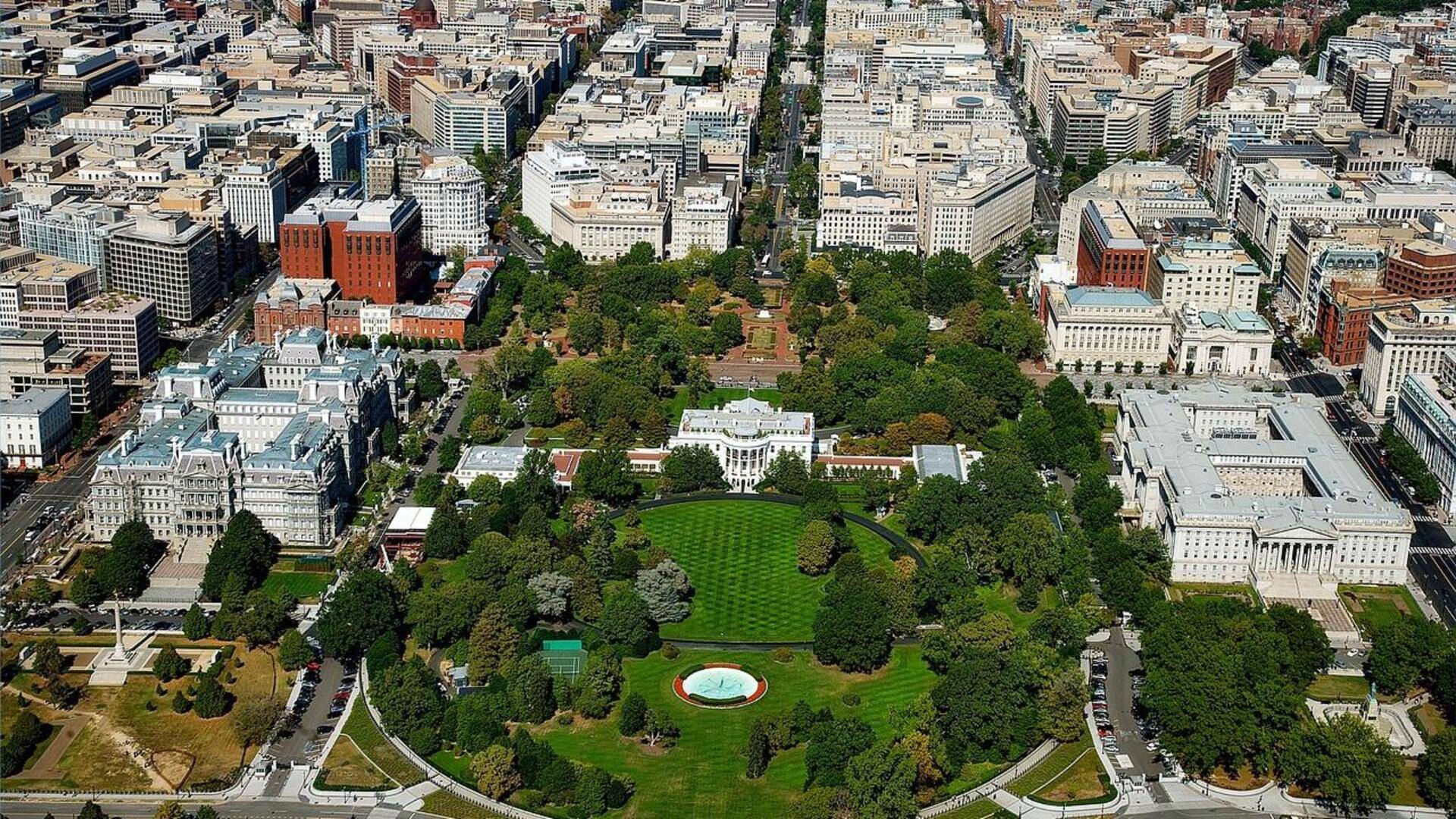 Bunga musim semi yang tak boleh dilewatkan di Washington, D.C.