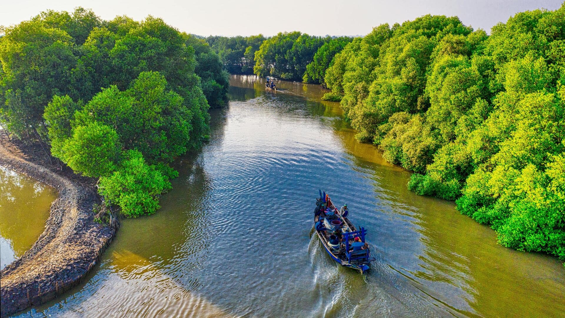 Petualangan Kayak di Hutan Mangrove Indonesia Petualangan Kayak di Hutan Mangrove Indonesia