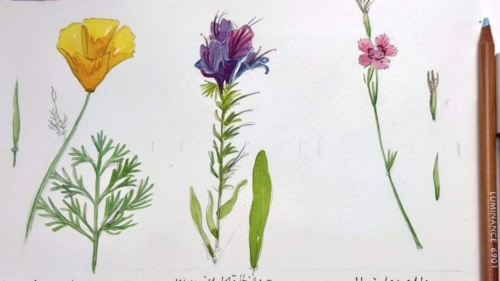 Teknik Esensial untuk Menciptakan Sketsa Botani yang Hidup