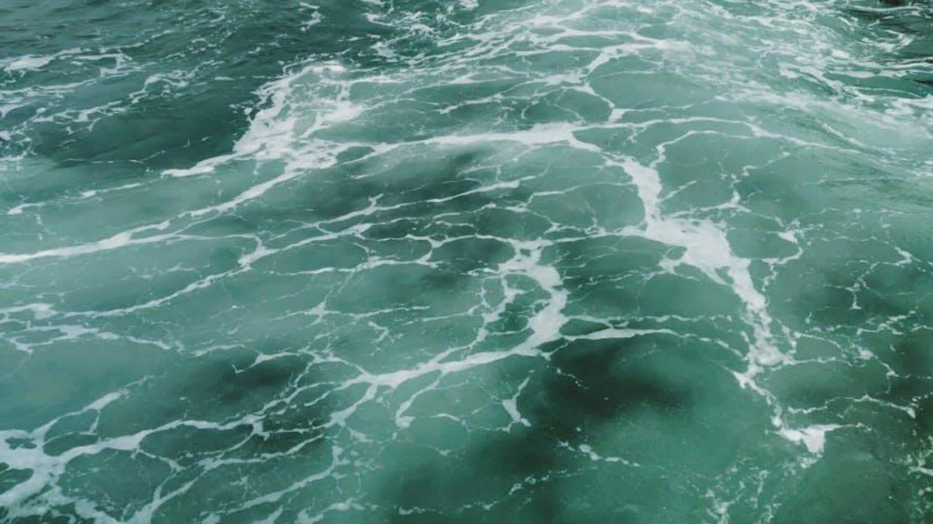 Pertanian Air Laut di Indonesia: Terobosan Keberlanjutan