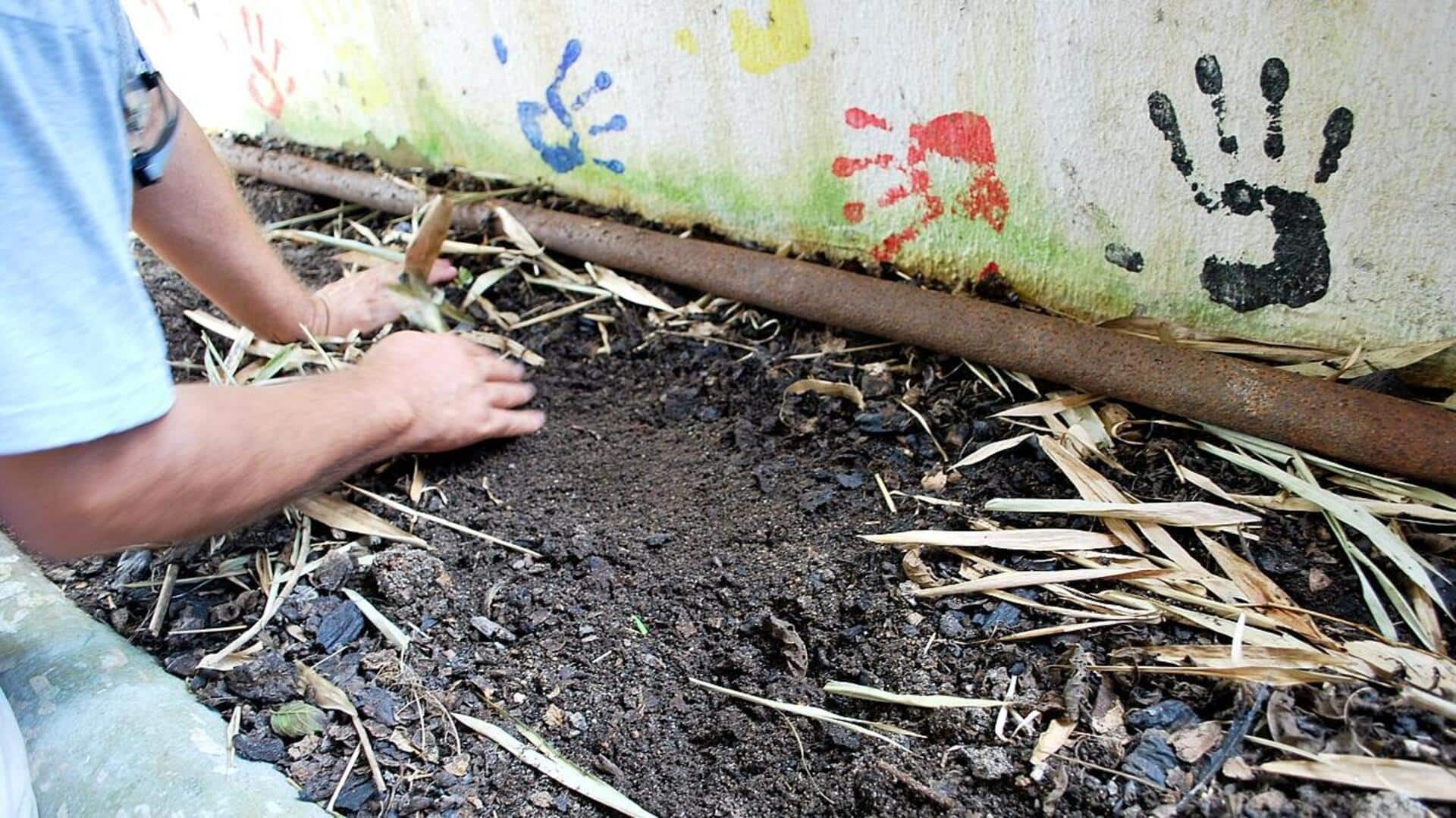 Peran Cacing Tanah dalam Mengatasi Perubahan Iklim