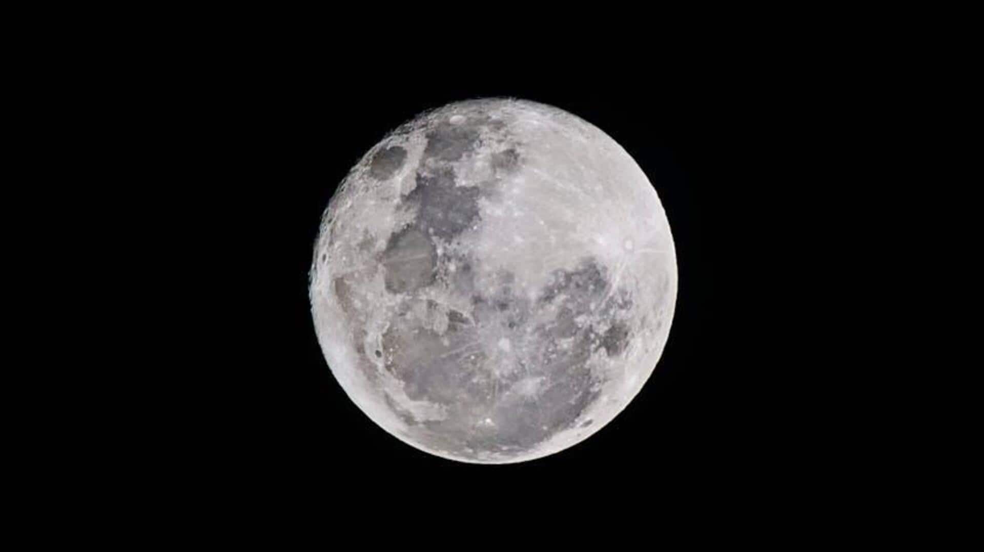 Tanah Bulan: Habitat Mikro yang Mendukung Pertumbuhan Tanaman Tanah Bulan: Habitat Mikro yang Mendukung Pertumbuhan Tanaman