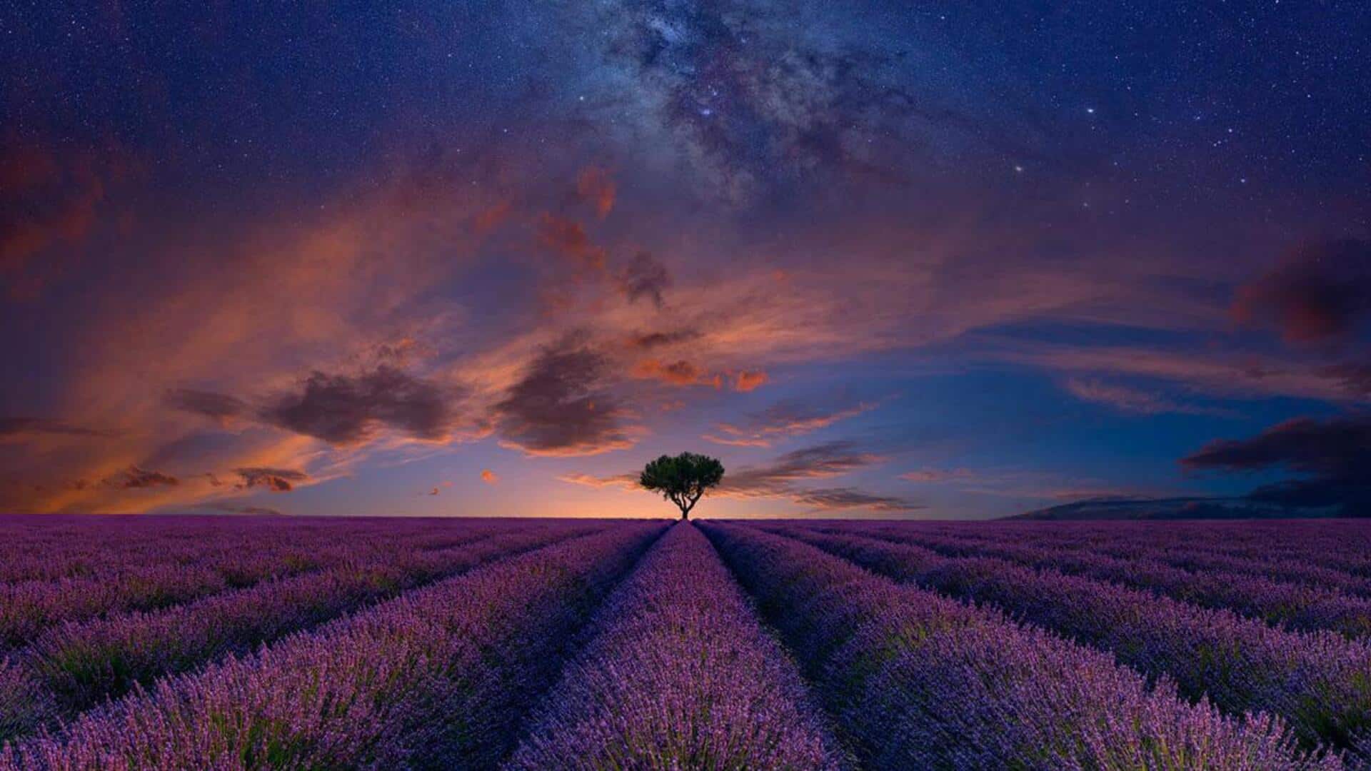 Membuka Emosi melalui Warna dalam Fotografi: Lima Tips Abadi