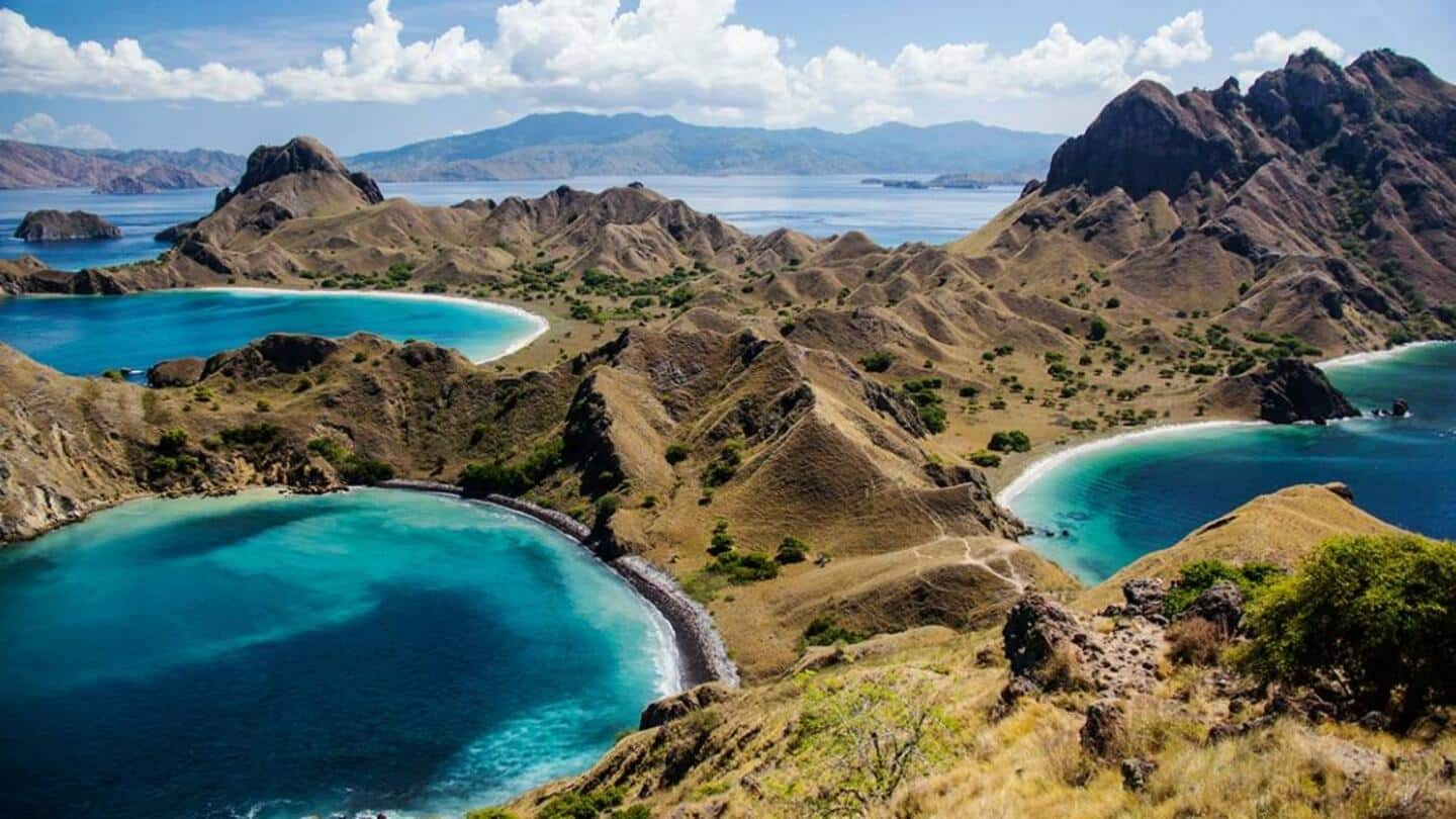 Cara Merencanakan Perjalanan Penuh Keseruan ke Taman Nasional Komodo