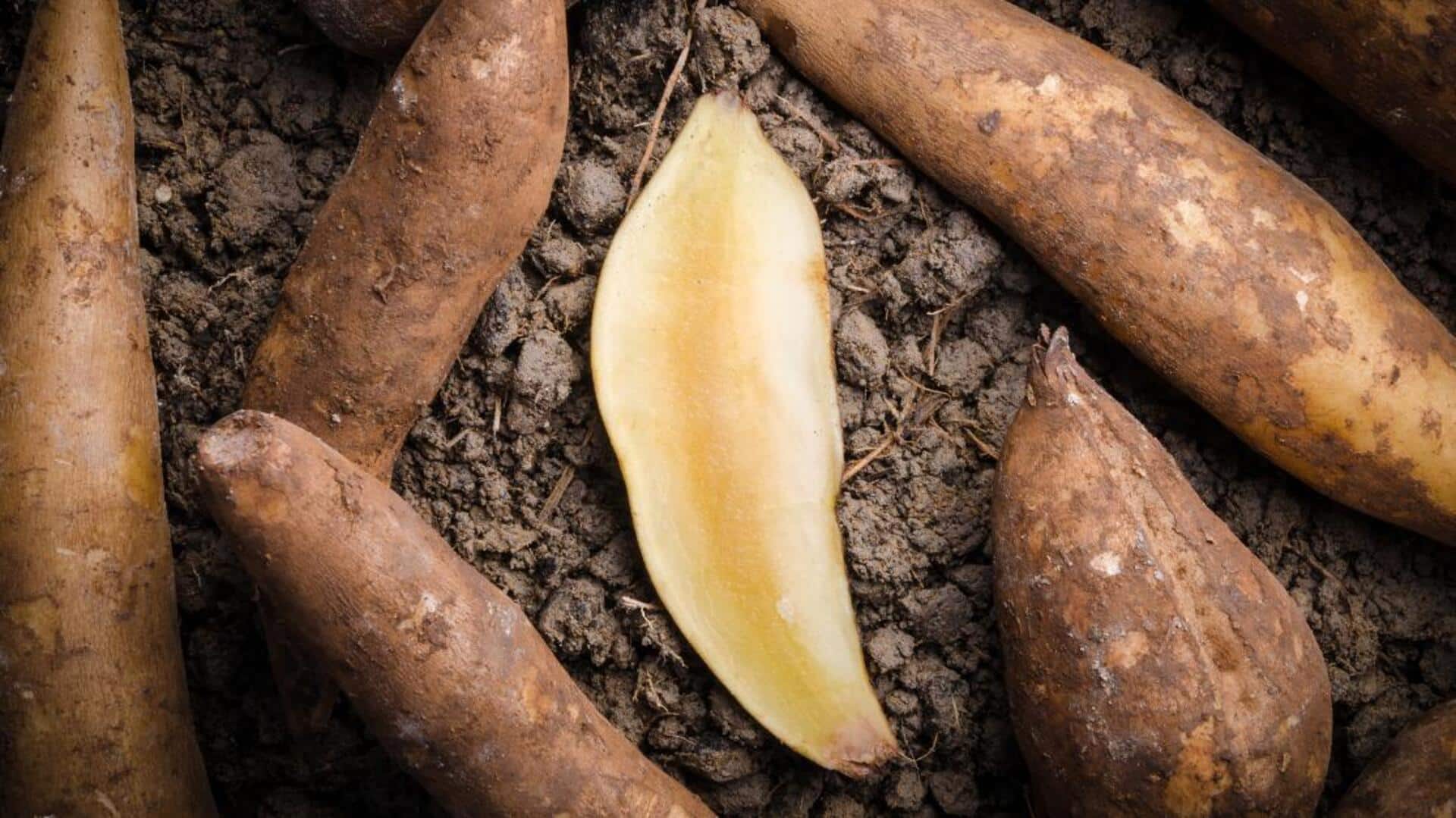 Lima Hidangan Berbasis Umbi Yakon yang Wajib Dicoba di Rumah