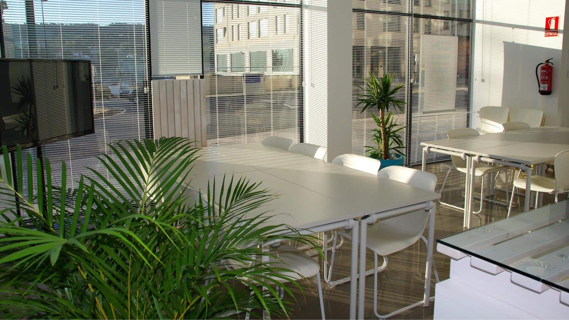 Menemukan Ruang Kantor Paling Keren di Dunia