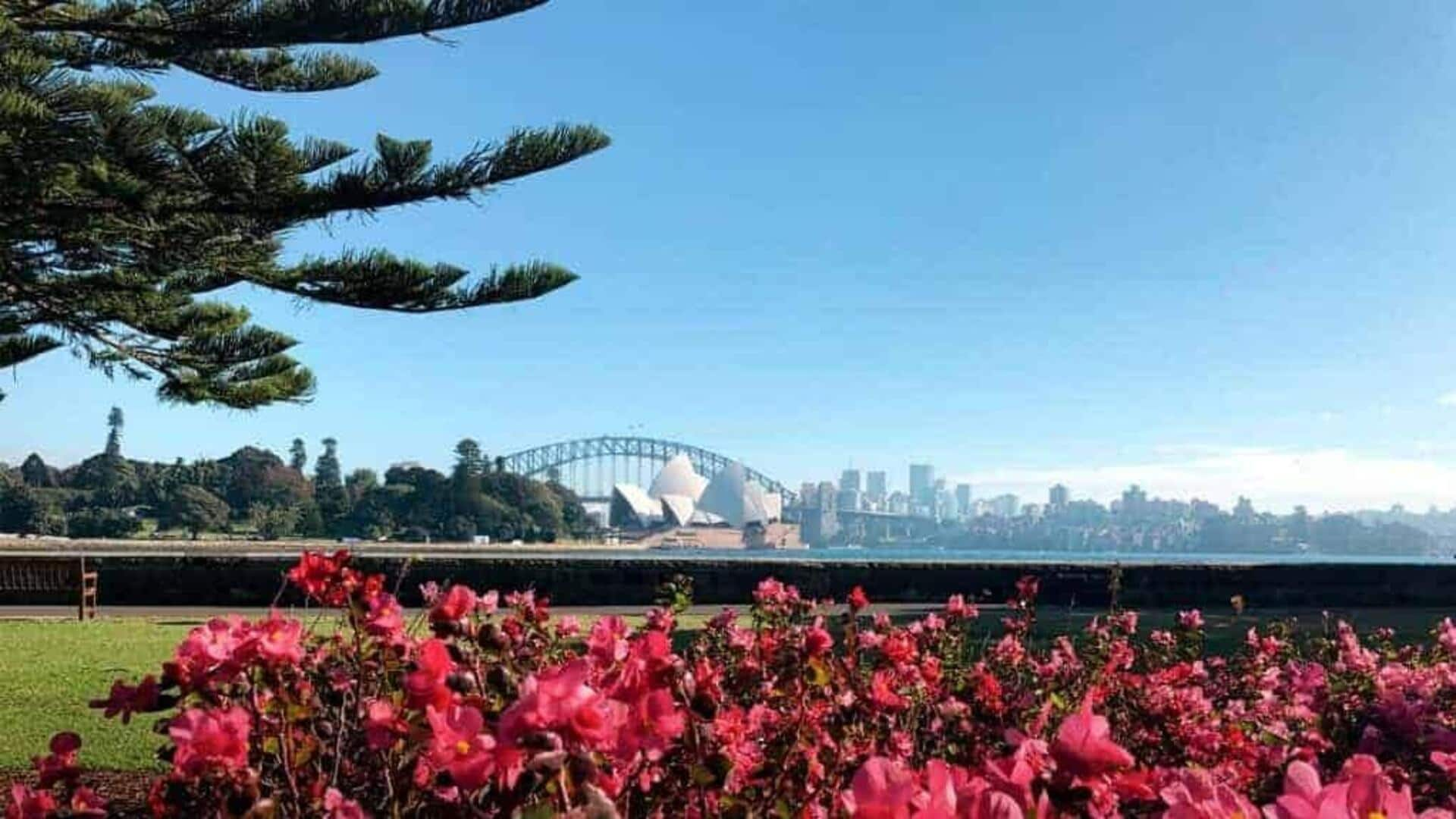 Panduan wisata pulau pelabuhan Sydney yang indah