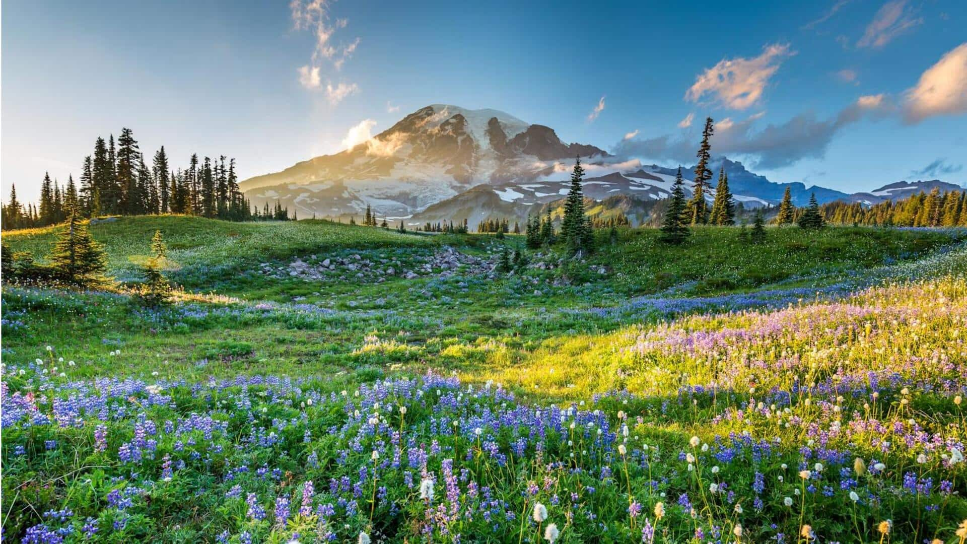 Lima Destinasi Wisata Dataran Tinggi yang Indah di sekitar Seattle