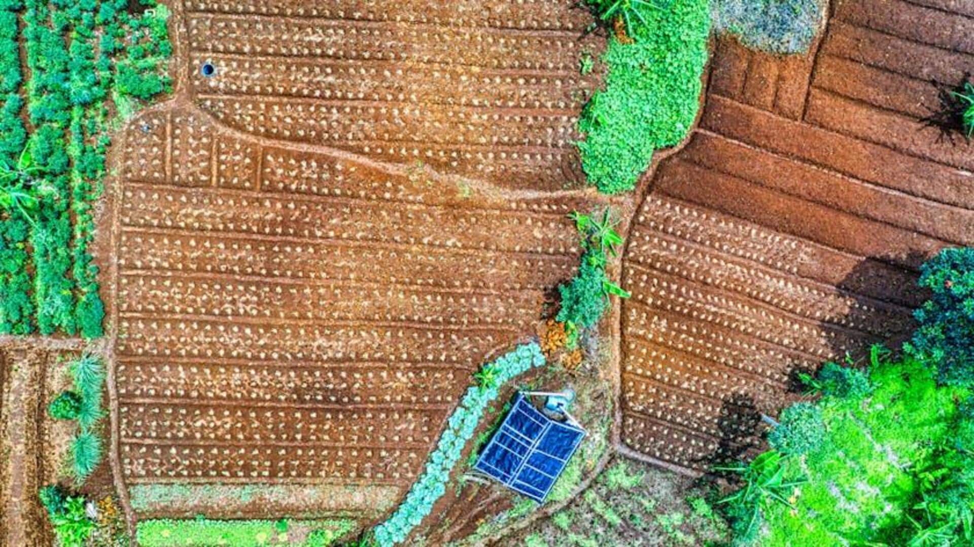 Energi Surya: Inovasi Pertanian Berkelanjutan di Seluruh Dunia