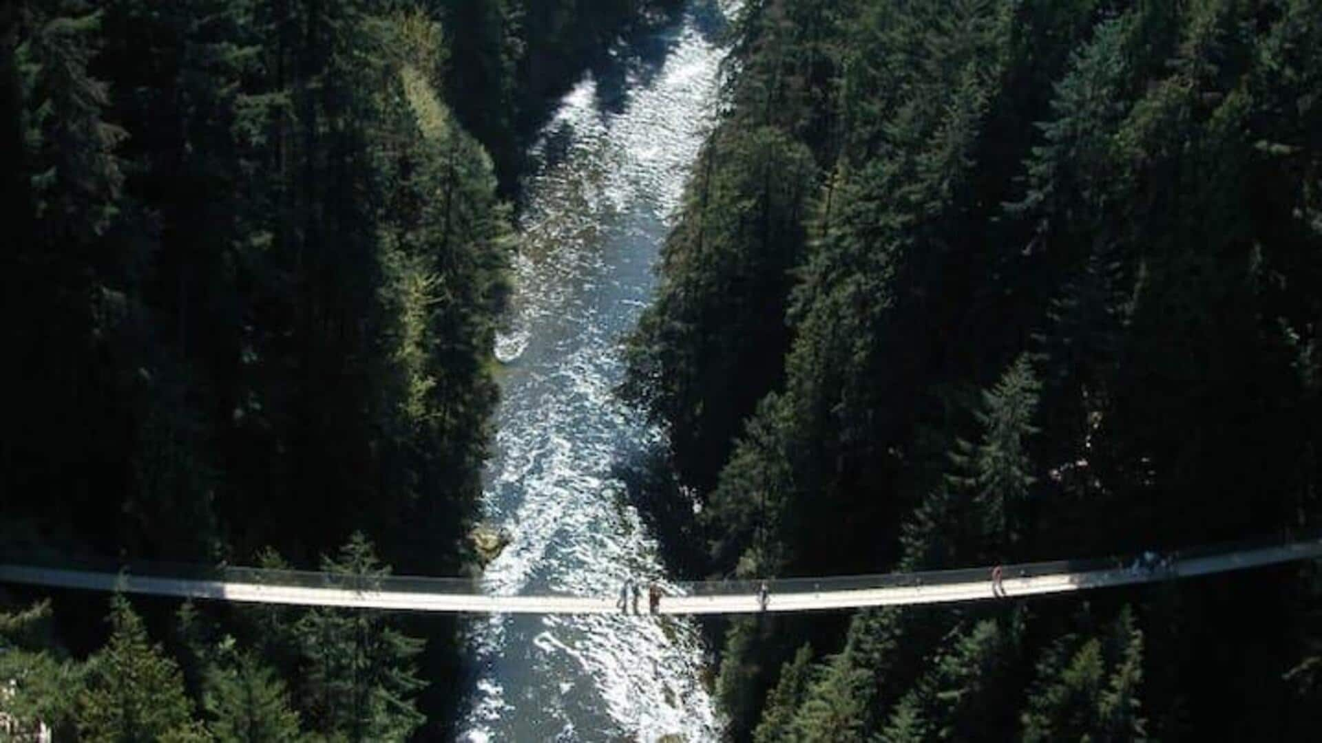 Panduan Dalam Menjelajahi Kanopi Hutan Hujan Vancouver