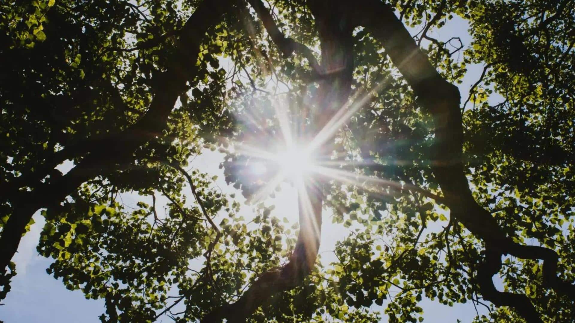 Rahasia Fotografi Lanskap di Bawah Sinar Matahari dengan Ponsel Pintar
