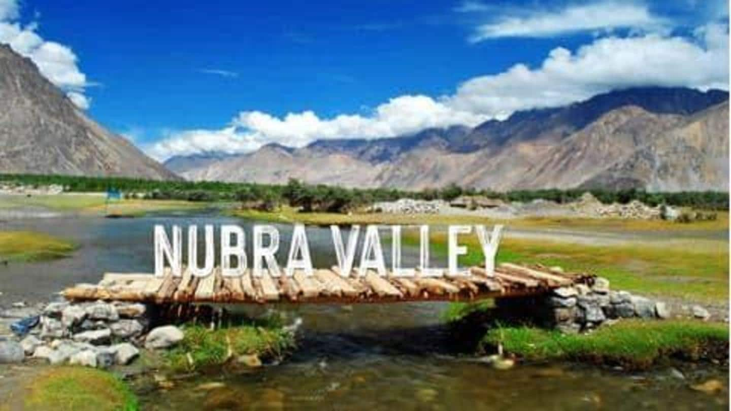 5 aktivitas yang bisa dilakukan di Lembah Nubra, India