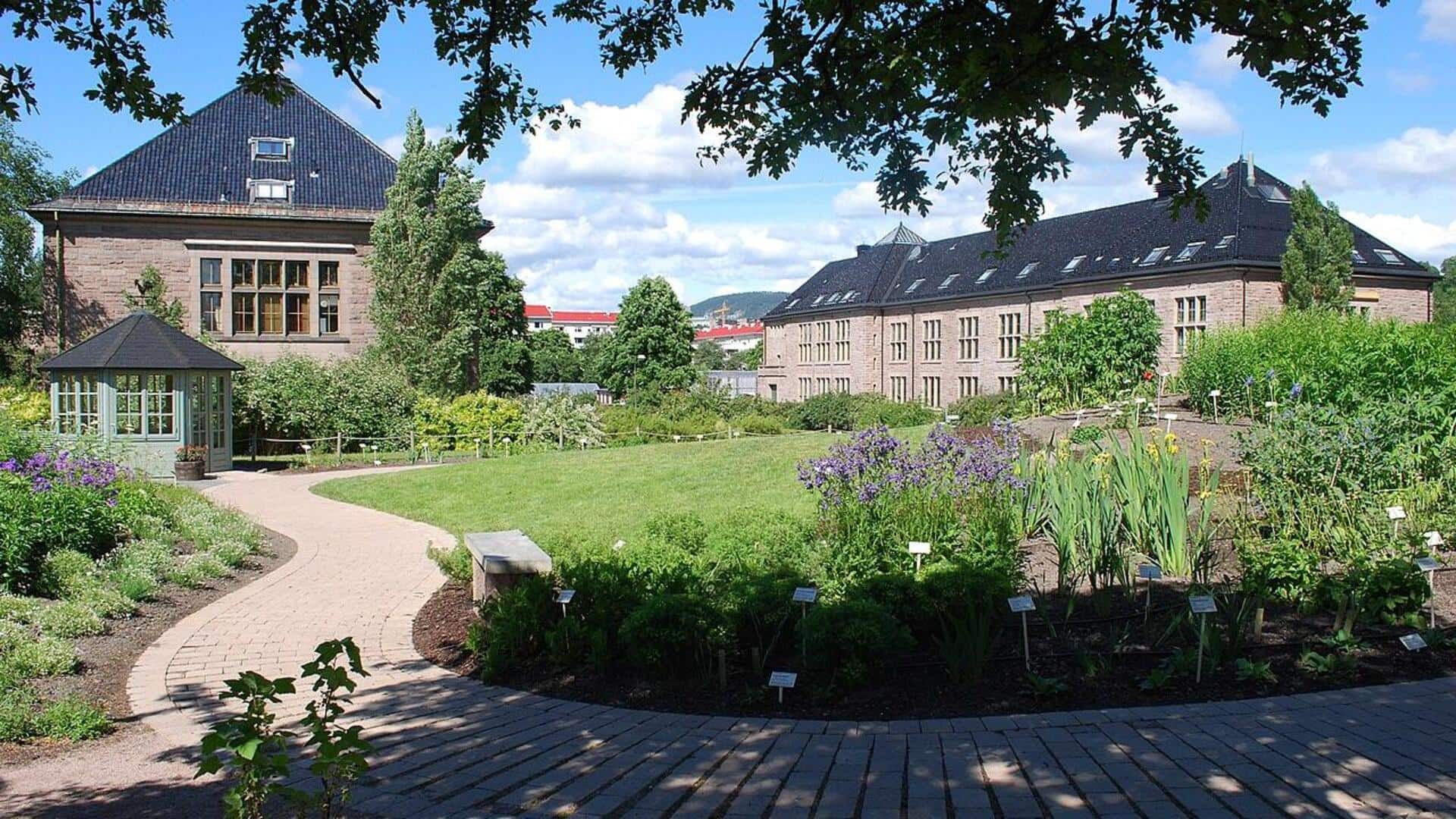Kebun Raya Norwegia: Temukan Spesies Tanaman Unik