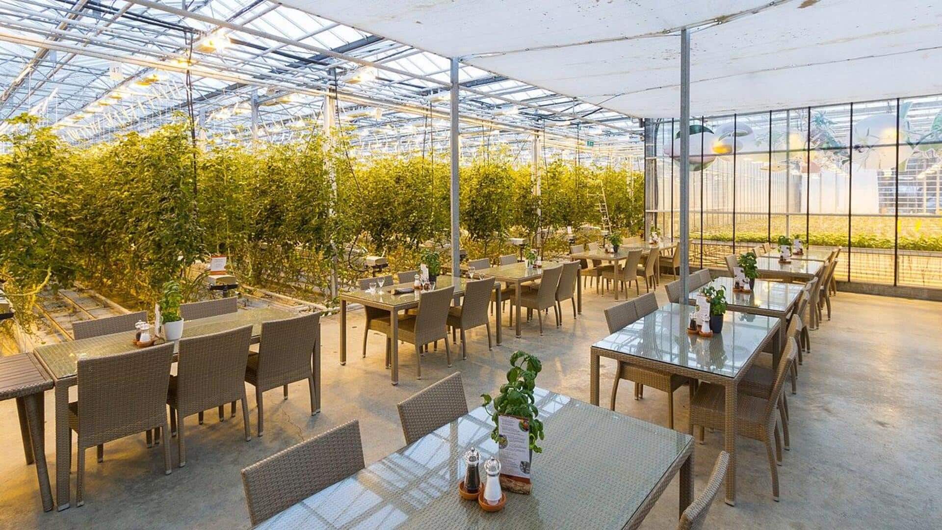 Restoran Unik Bertema Geotermal di Reykjavik