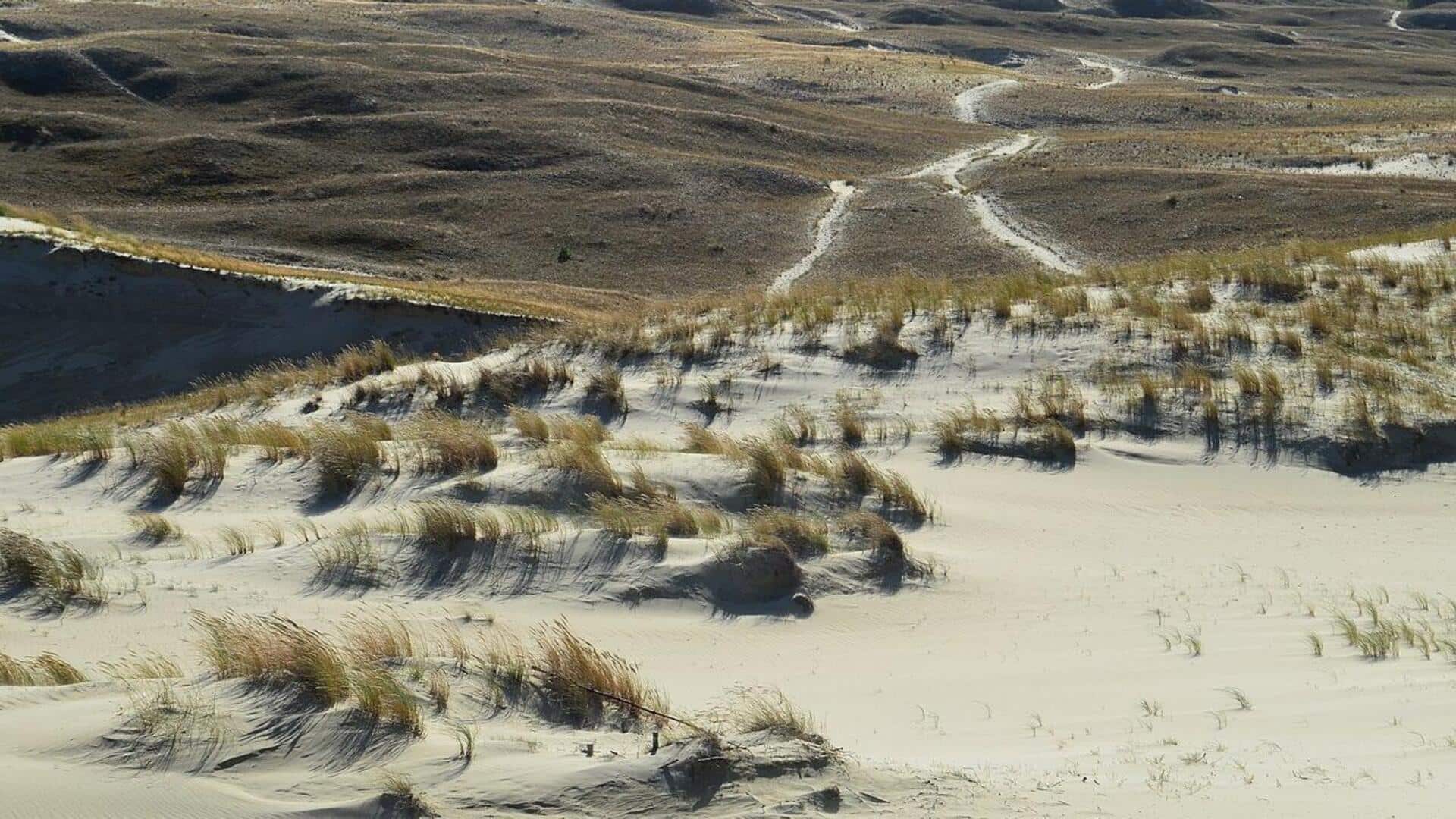 Menikmati Pantai Curonian Spit di Lithuania
