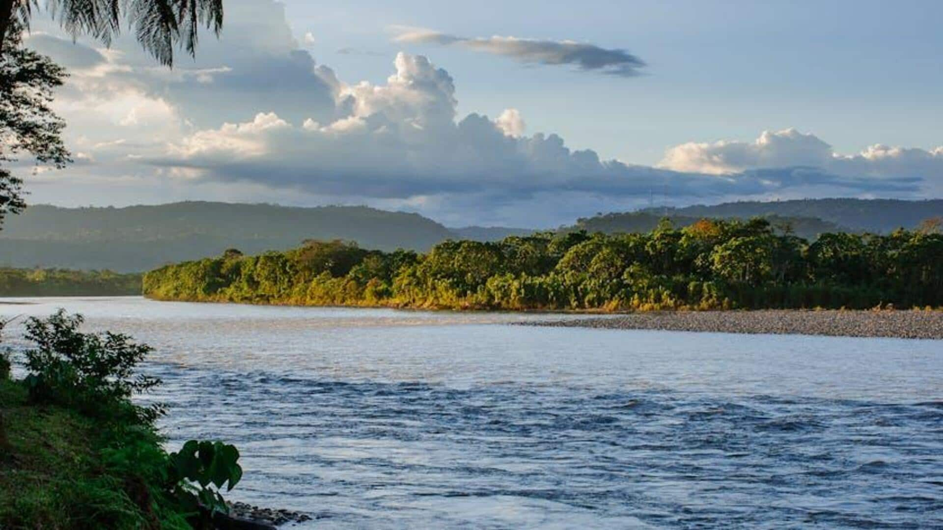 Menjelajahi Keanekaragaman Hayati di Taman Nasional Yasuni, Ekuador