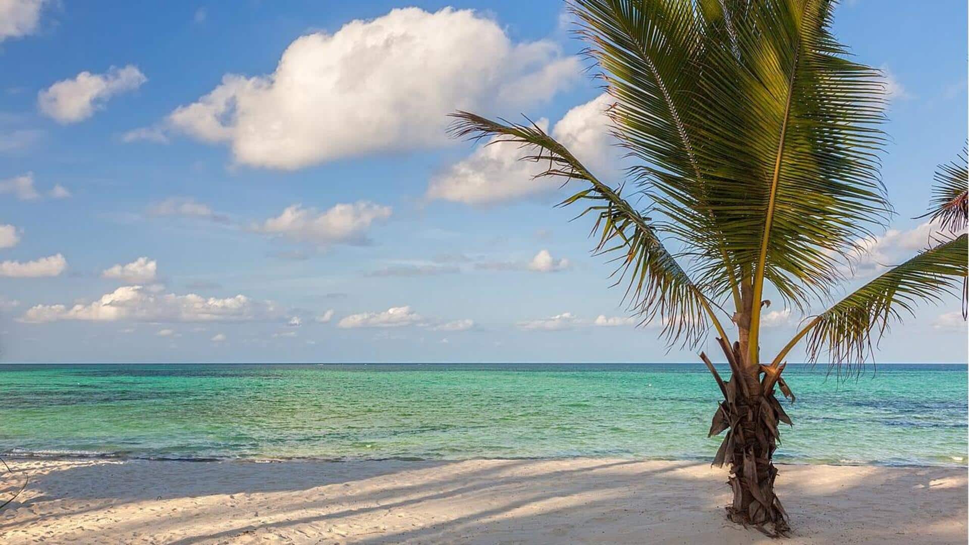 Pantai Tersembunyi di Zanzibar: Keheningan di Tepi Laut