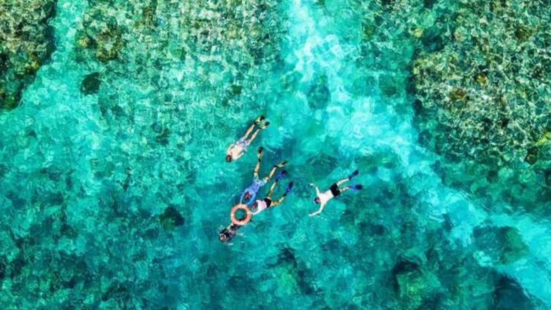 Menyelami Perairan Cairns, Petualangan Akuatik Australia