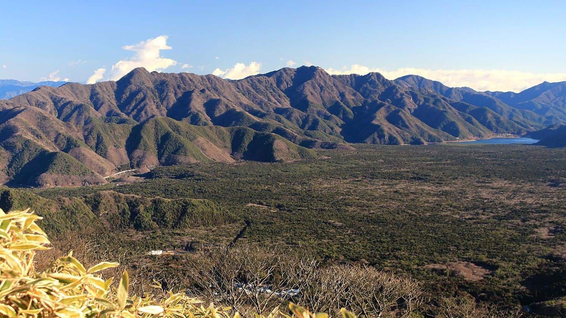 Hutan Tenang di Jepang yang Menanti untuk Ditemukan