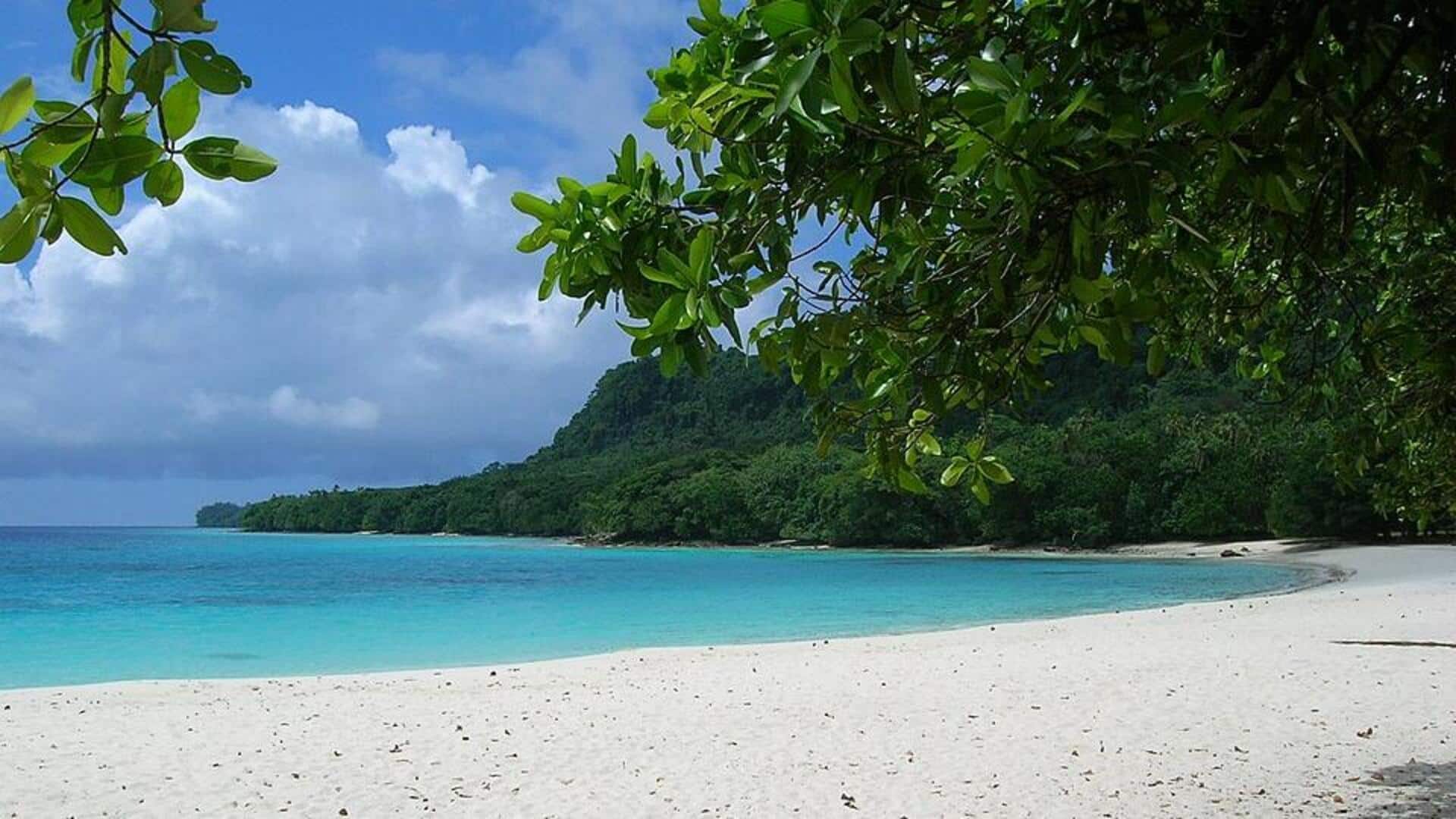 Pantai Pristine Vanuatu: Keindahan untuk Setiap Penjelajah