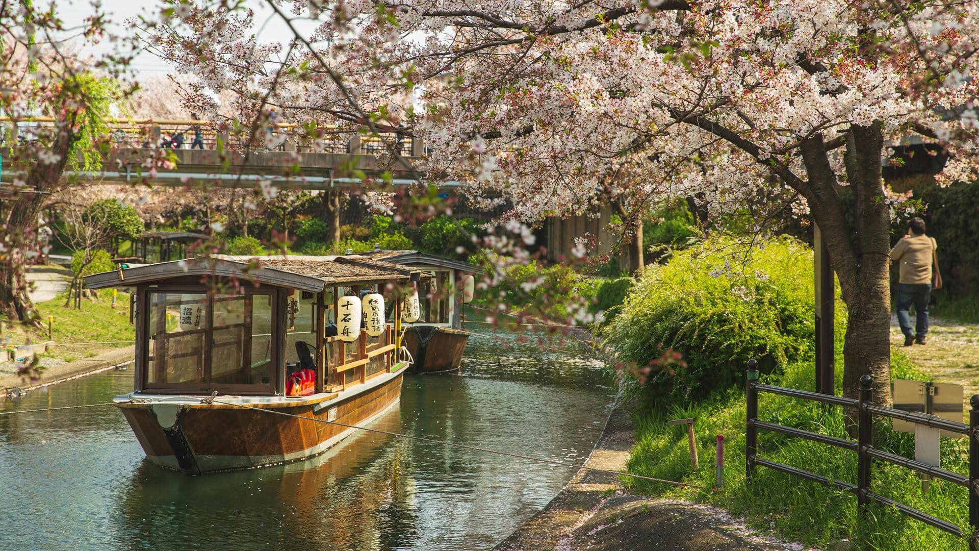 Menemukan Taman-Taman Kyoto yang Rumit di Luar Peta Wisata