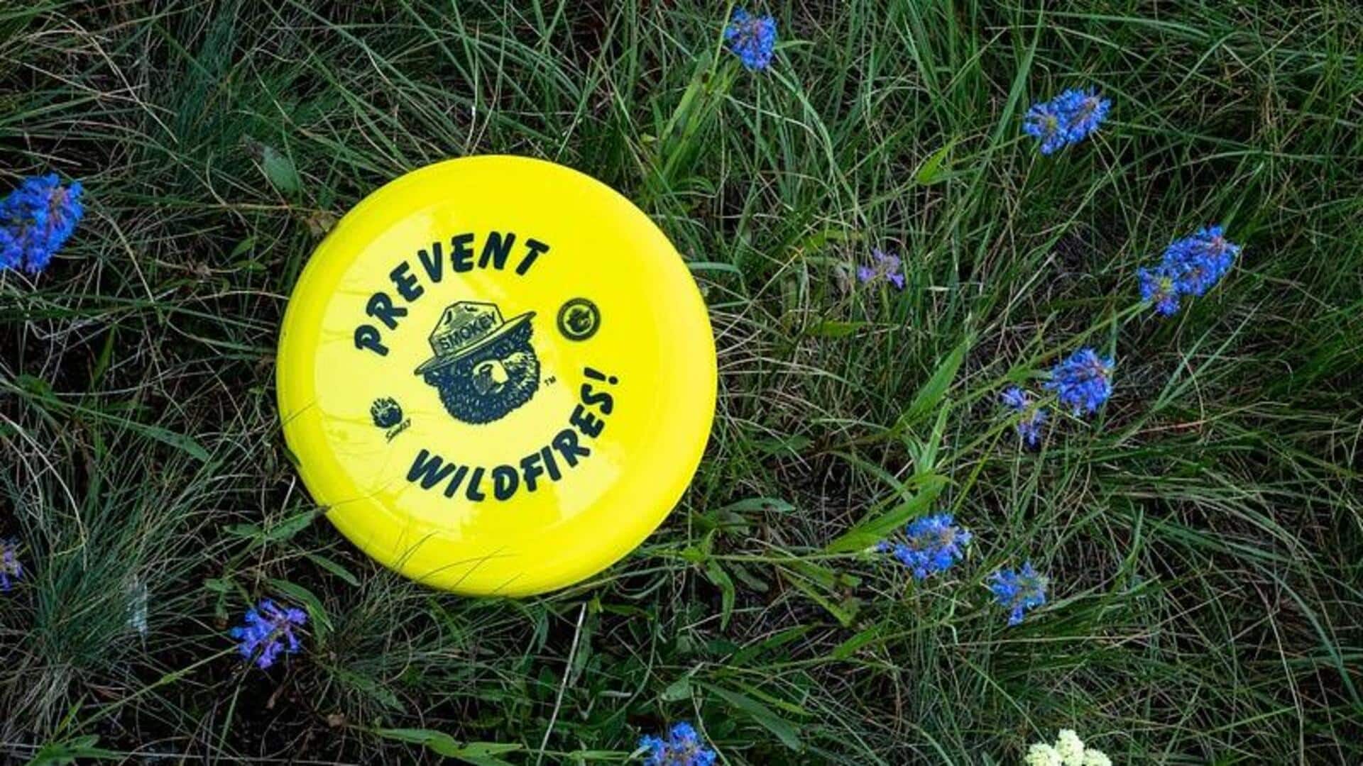 Fisika menarik di balik frisbee yang meluncur Fisika menarik di balik frisbee yang meluncur